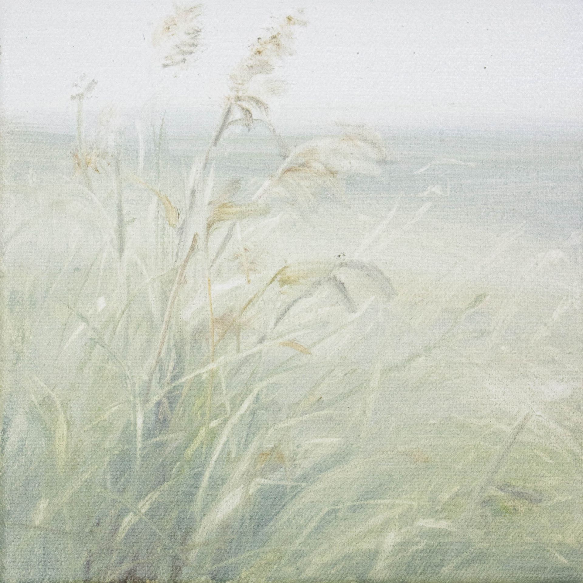 Татьяна Прокшина (Картина, живопись - 
                  20 x 20 см) Травы 260204-2. Колоски