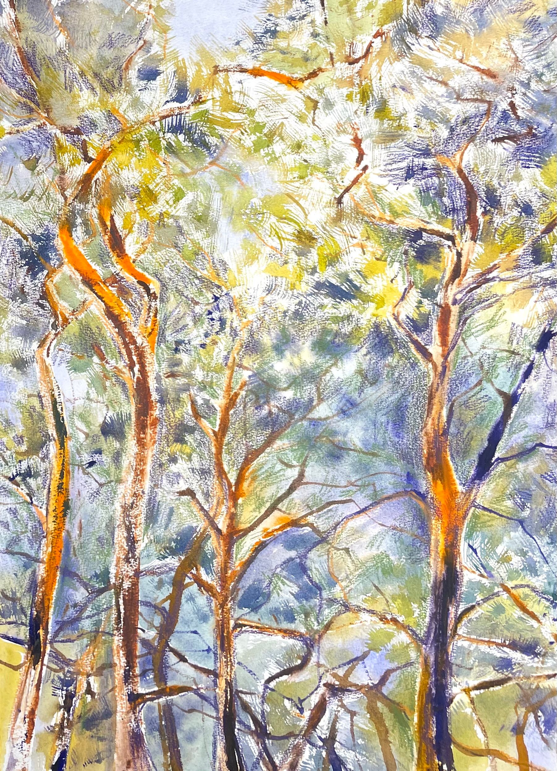 Юлия Третьякова (Авторская графика - 
                  38 x 54 см) Вечер в соснах