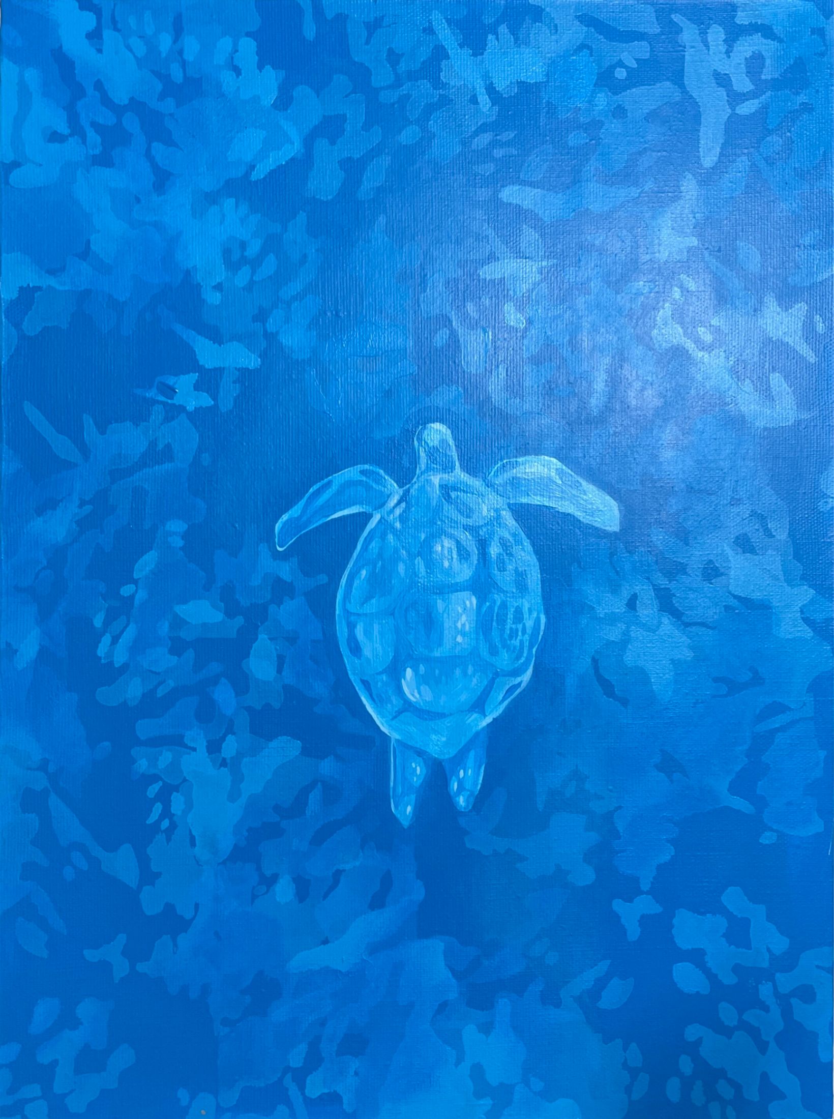 Виктория Никулочкина (Картина, живопись - 
                  30 x 40 см) La tortue