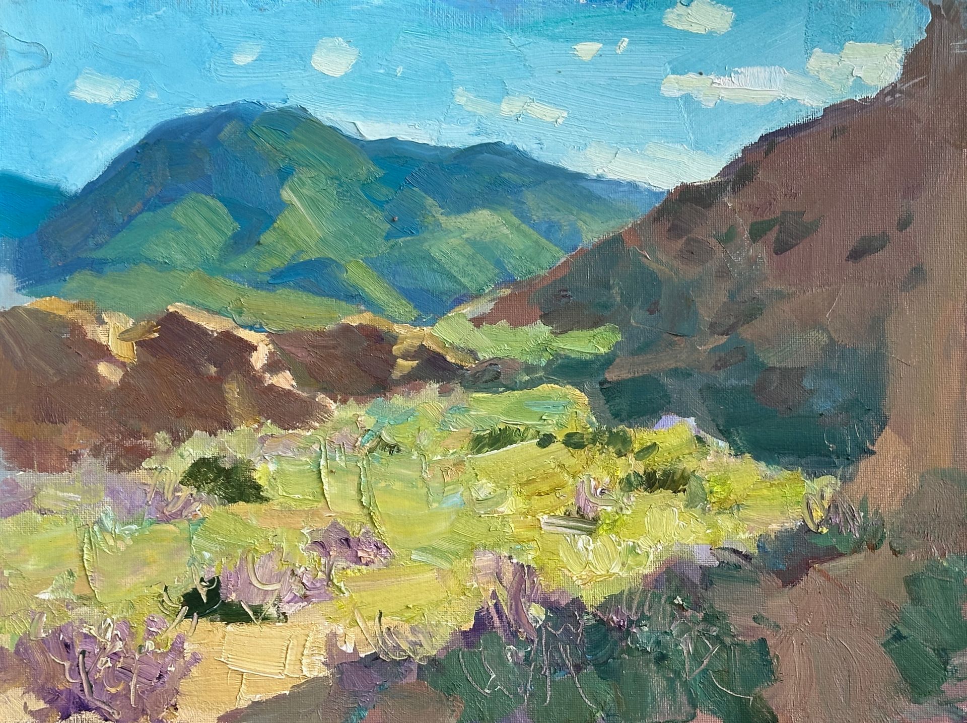 Илья Хахарев (Авторская графика - 
                  40 x 30 см) Солнечный день. Киргизия