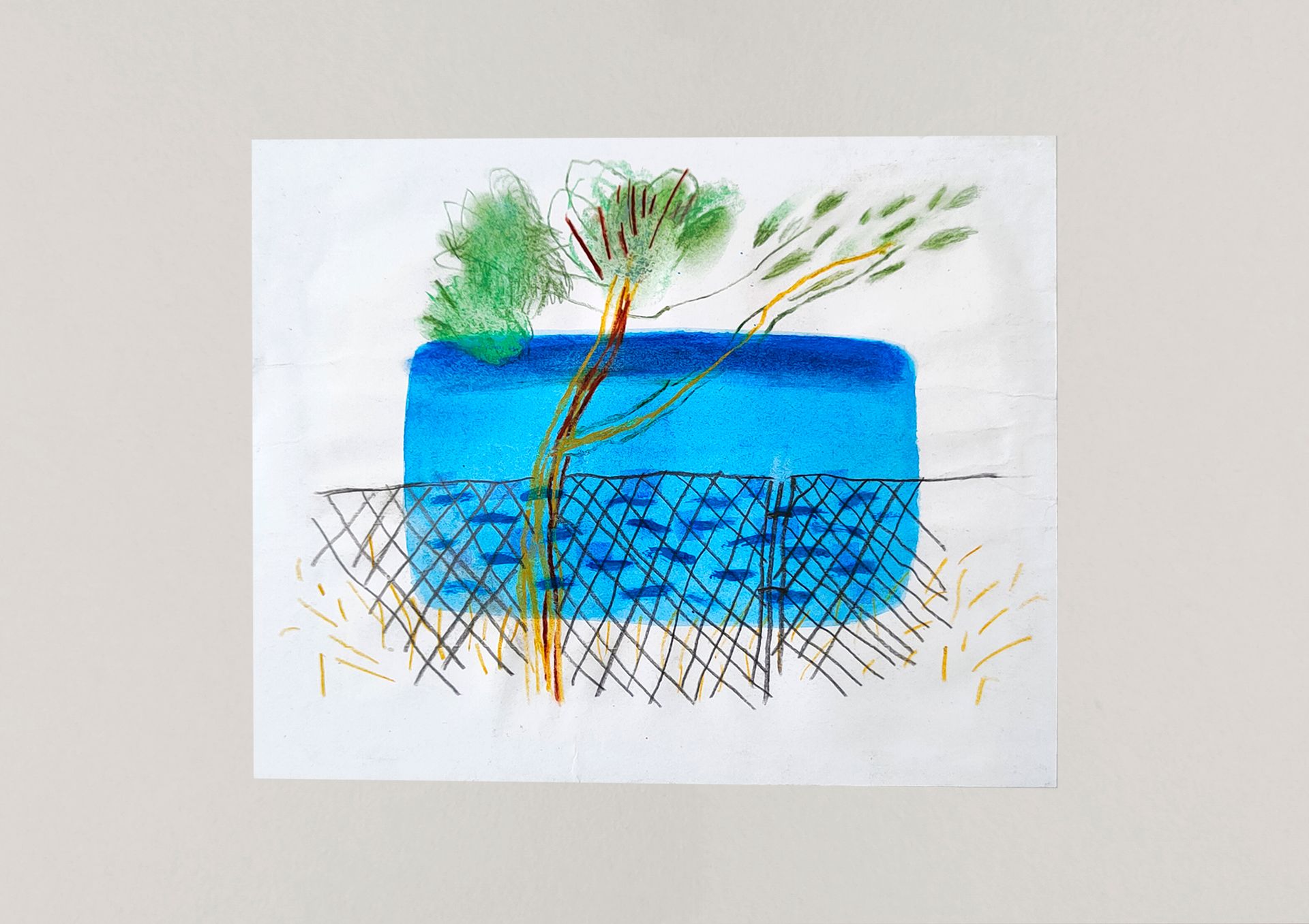 Варвара Голланд (Авторская графика - 
                  38 x 33 см) Сосна и море