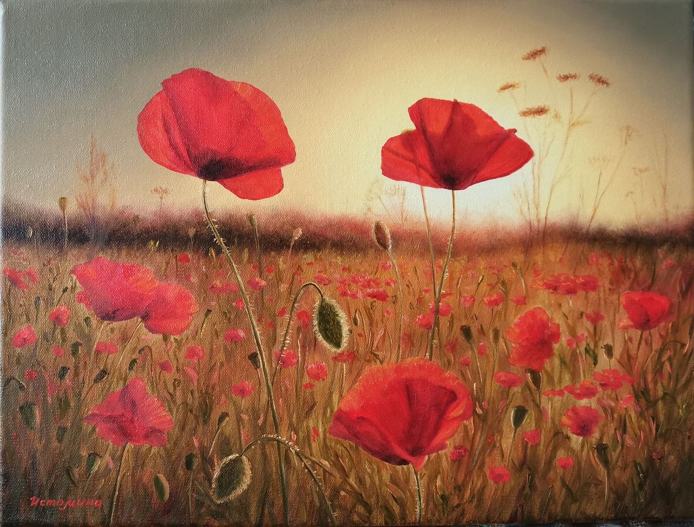 Елена Истомина (Картина, живопись - 
                  40 x 30 см) Закат в маковом поле