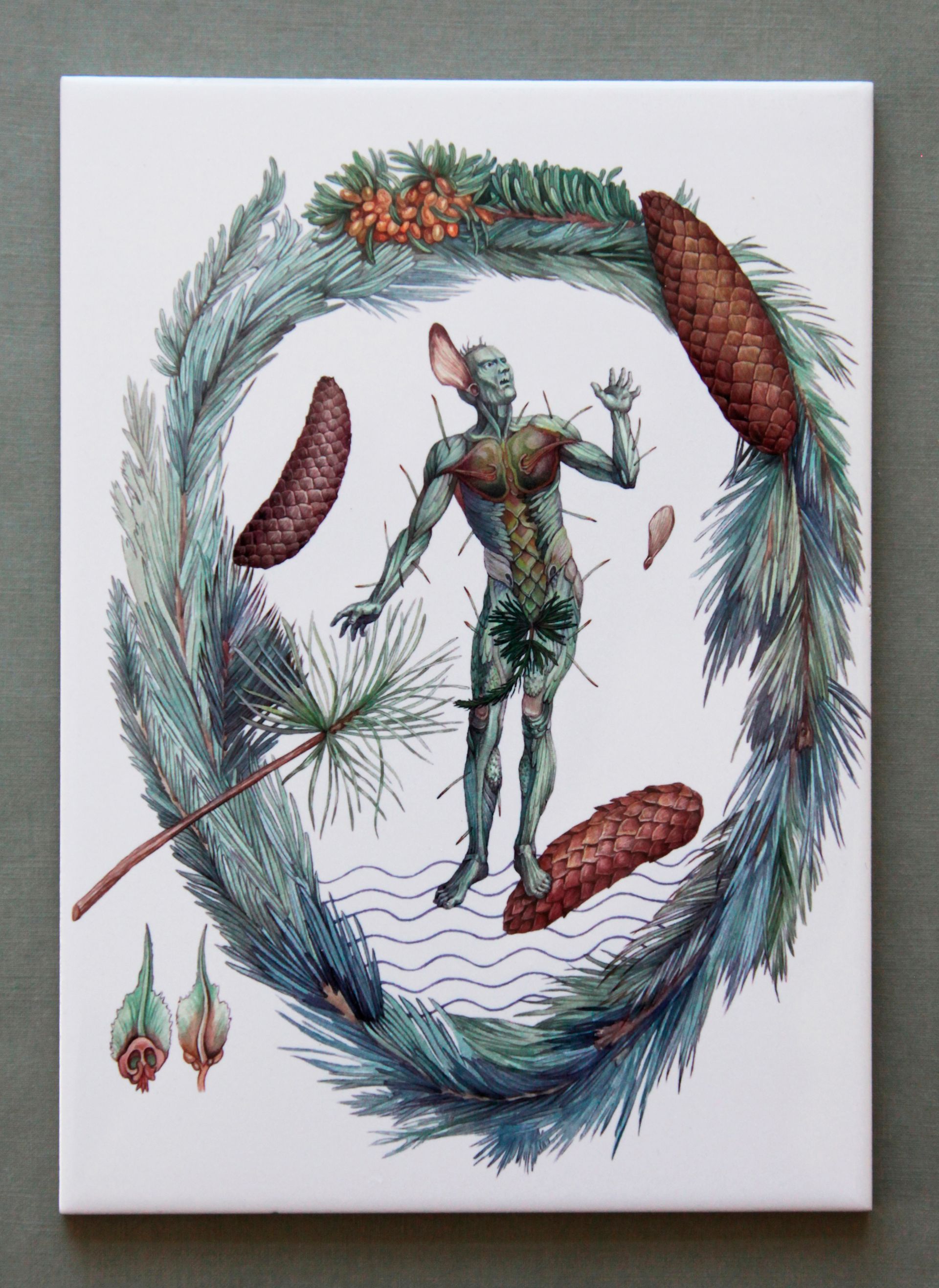 Людмила Баронина (Объект - 
                  20 x 30 см) Шишка