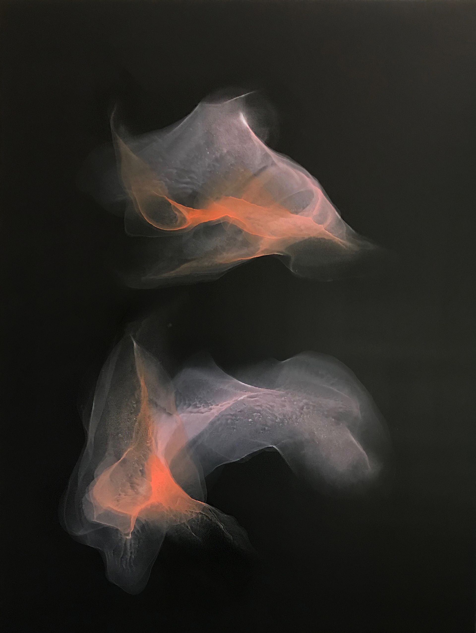 Алекс Корл (Картина, живопись - 
                  75 x 100 см) Кои