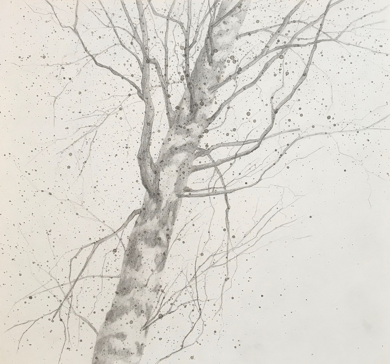 Екатерина Феоктистова (Авторская графика - 
                  30 x 30 см) Ветвления