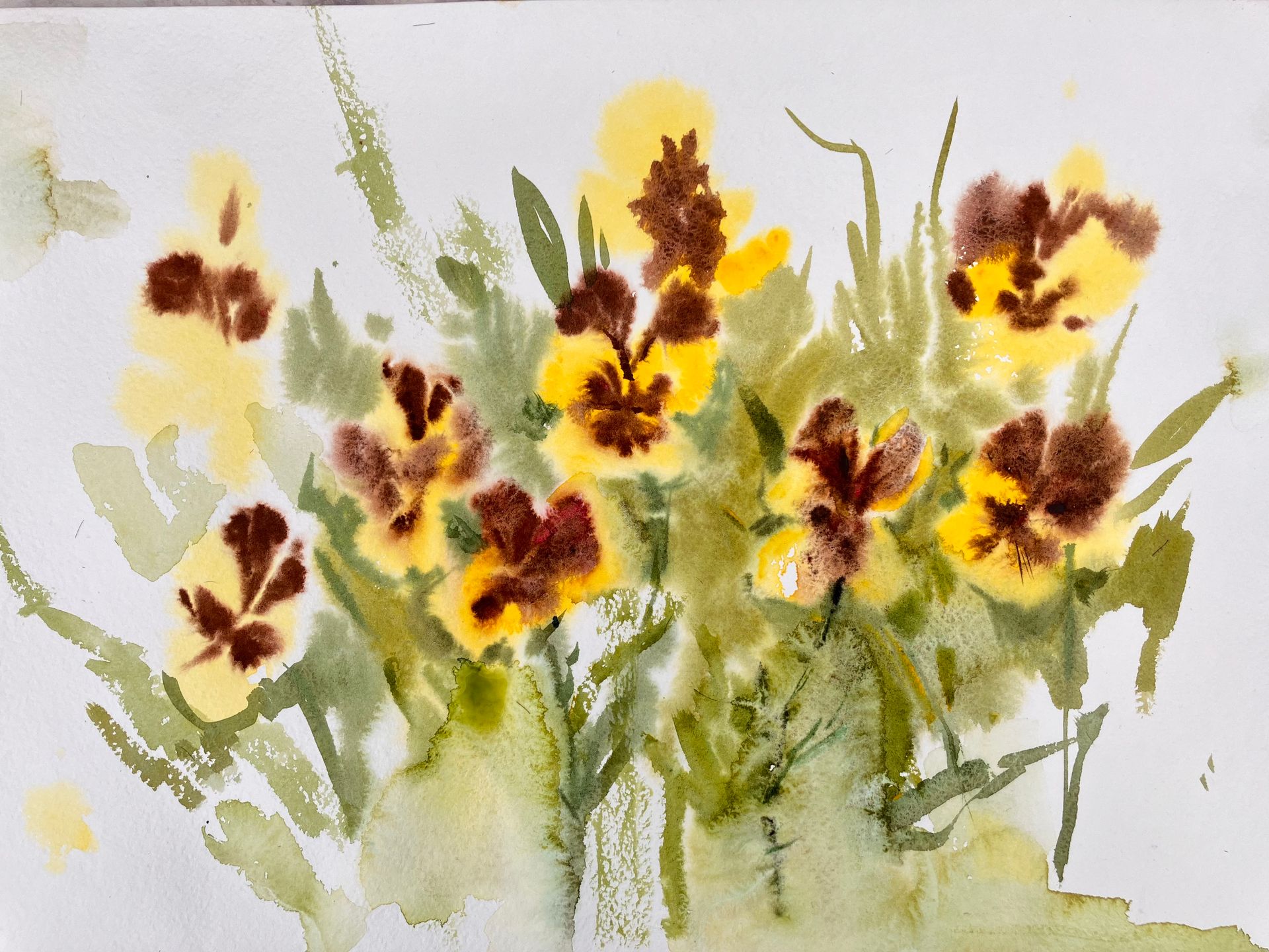 Анна Образцова (Авторская графика - 
                  35 x 25 см) Анютины глазки