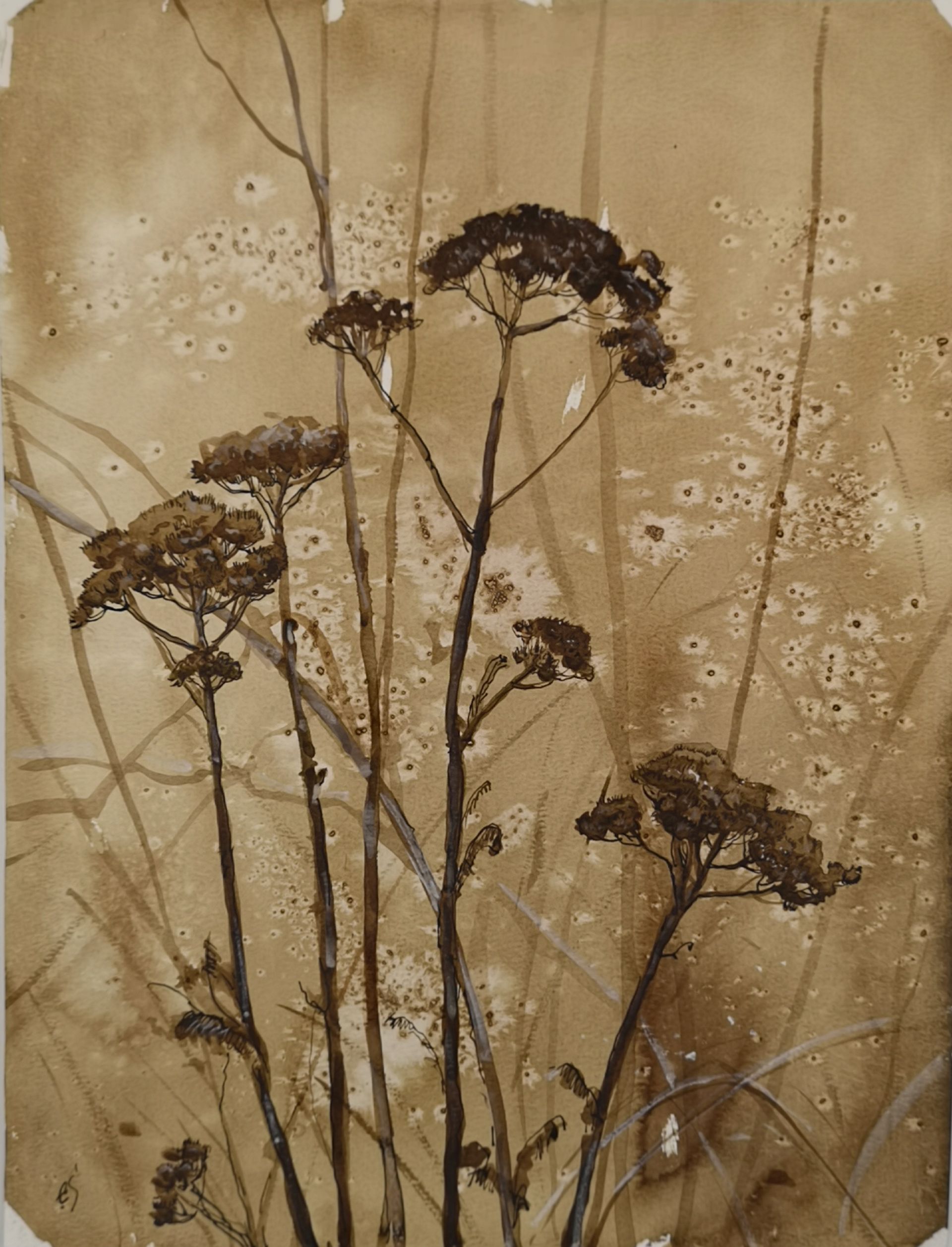 Елена Санина (Авторская графика - 
                  27 x 38 см) Тысячелистник