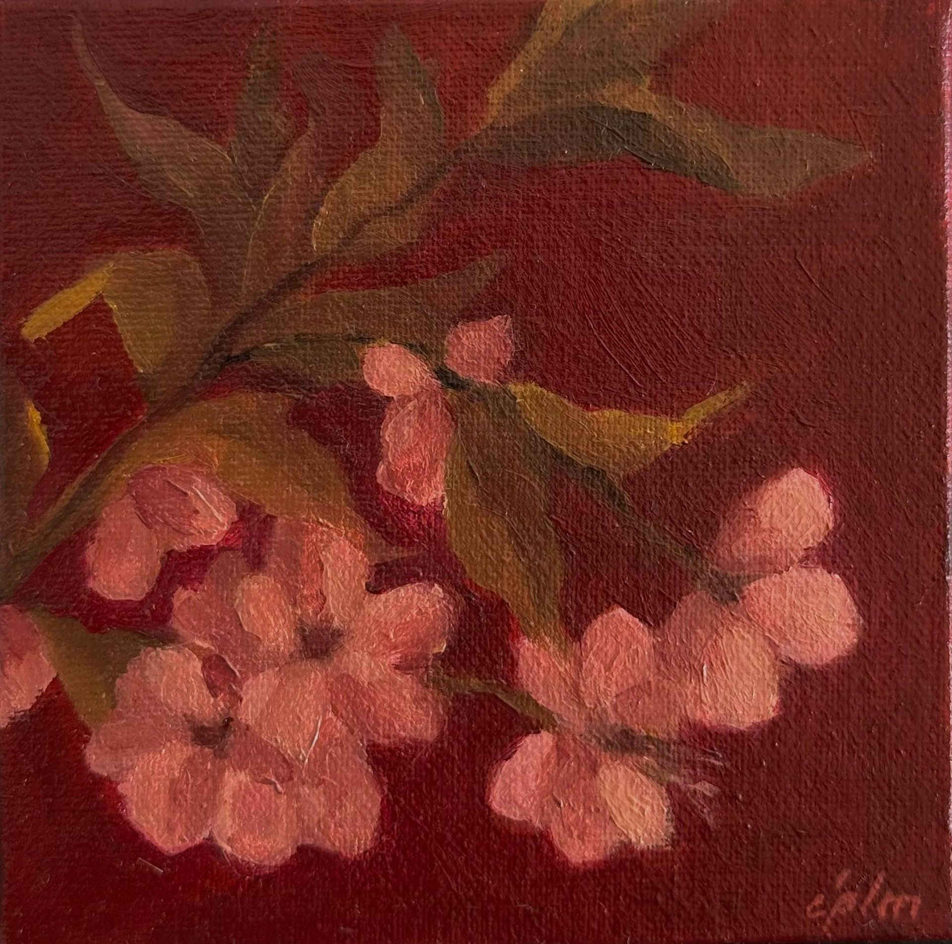 Виктория Зарецкая (embrassé par la muse) (Авторская графика - 
                  10 x 10 см) Цветение