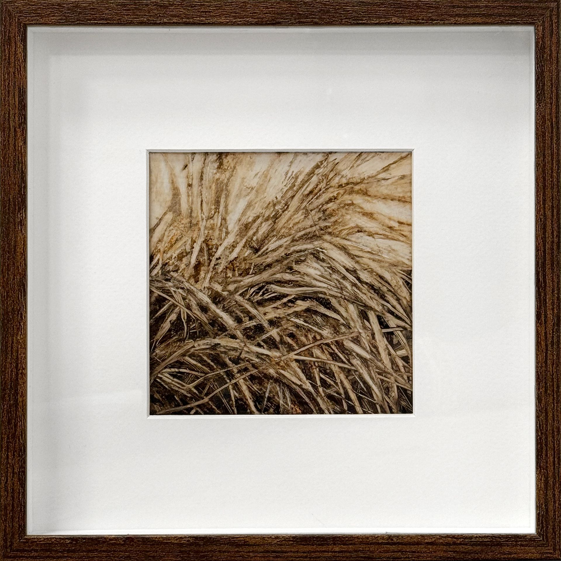 Сергей Трофимов (Авторская графика - 
                  25 x 25 см) Бурьян