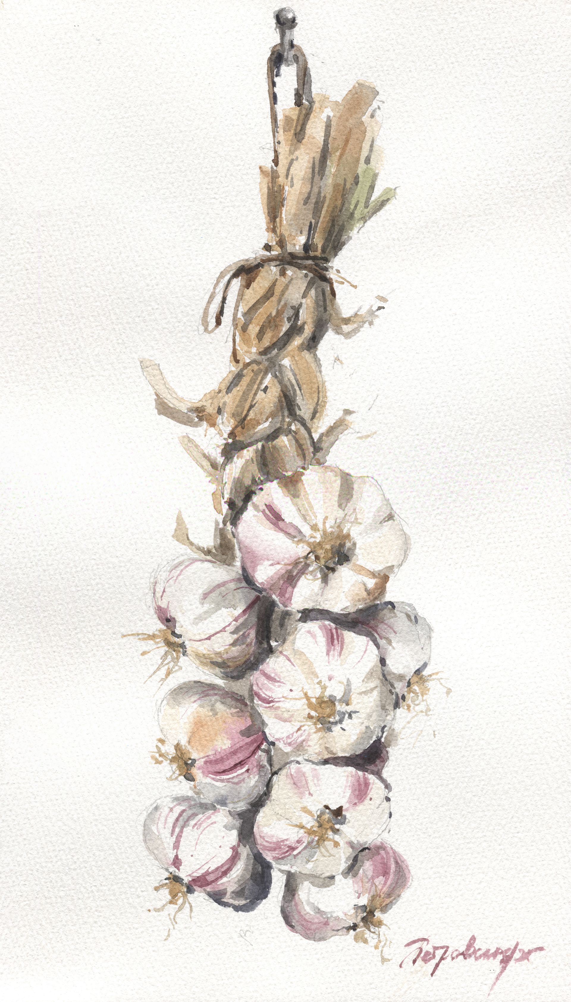 Ирина Петровская (Авторская графика - 
                  19.5 x 34.5 см) Связка чеснока