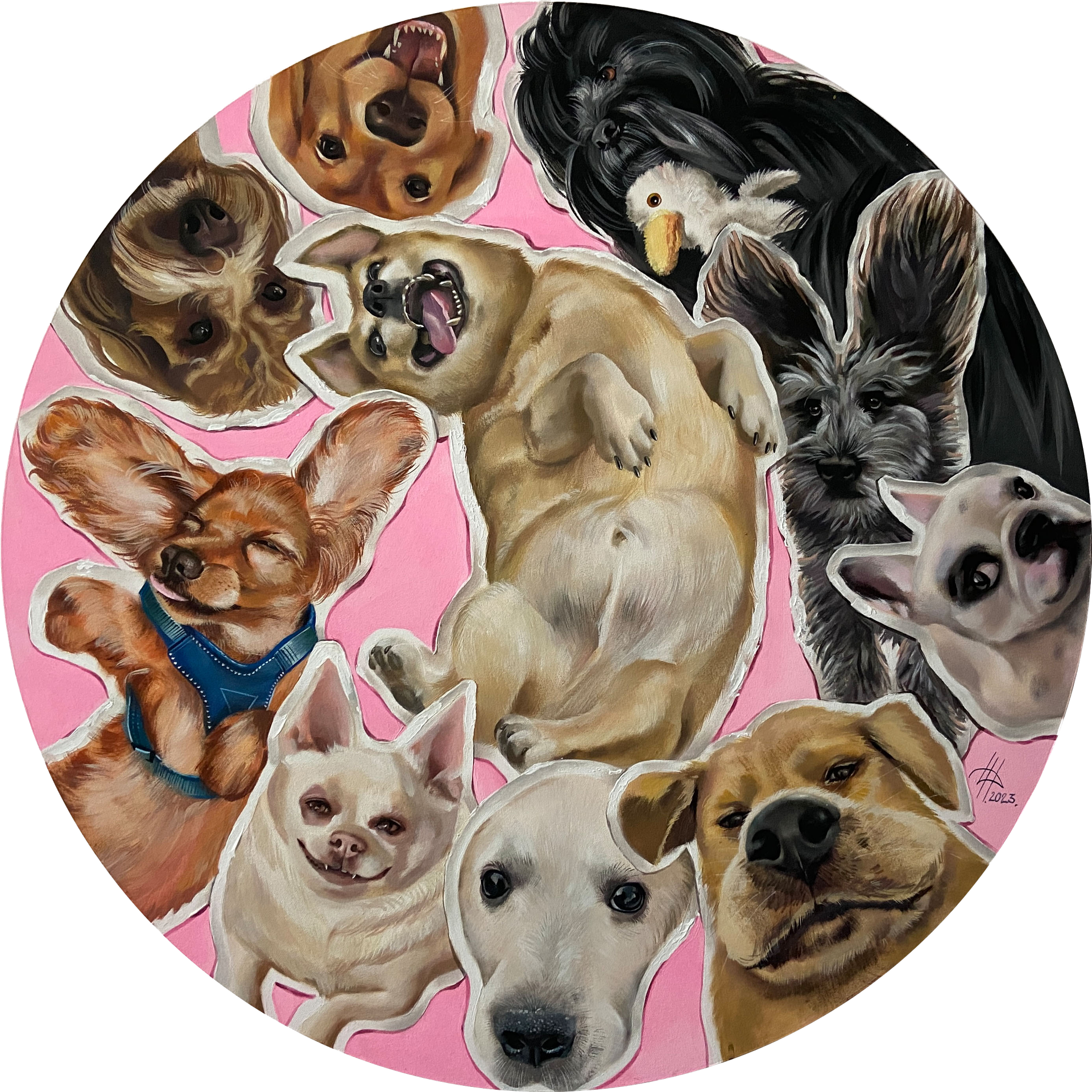 Динара Хёртнагль (Картина, живопись - 
                  80 x 80 см) #Insta dogs