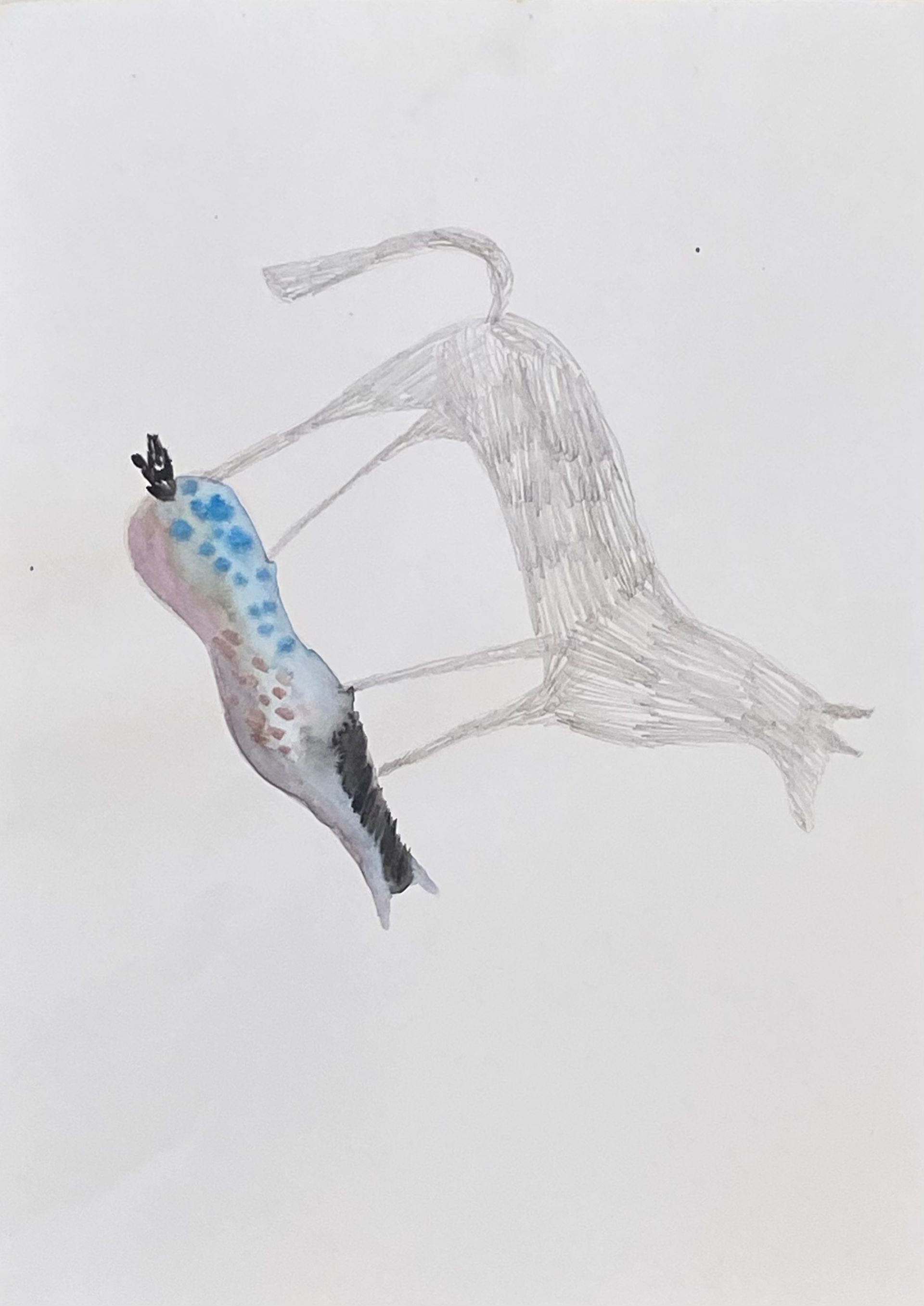 Лина Кордюченко (Авторская графика - 
                  20 x 30 см) Тень от лошадки