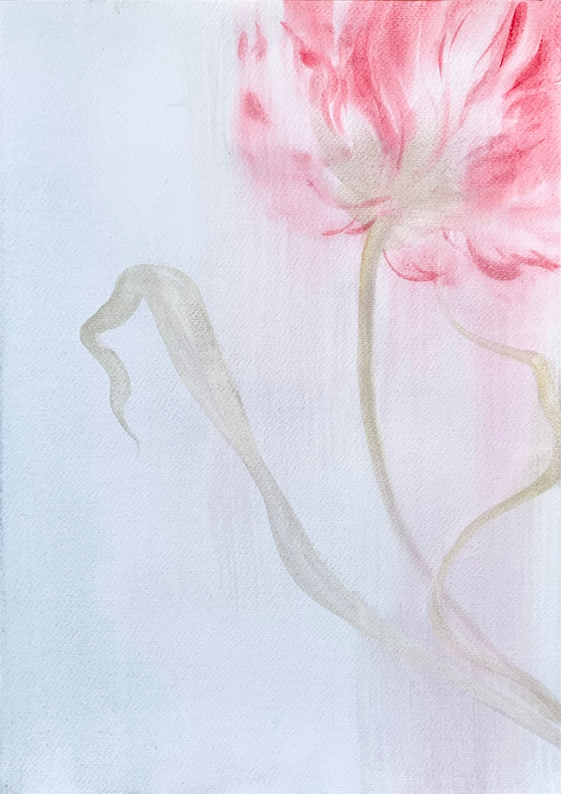 Ульяна Соловей (Авторская графика - 
                  40 x 50 см) Лист / тюльпан III