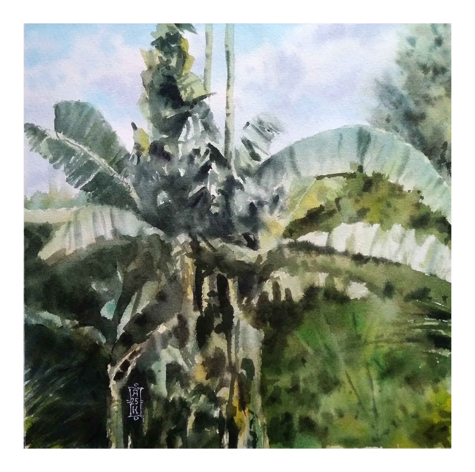 Александр Кормилицын (Авторская графика - 
                  30 x 30 см) На неизвестном острове