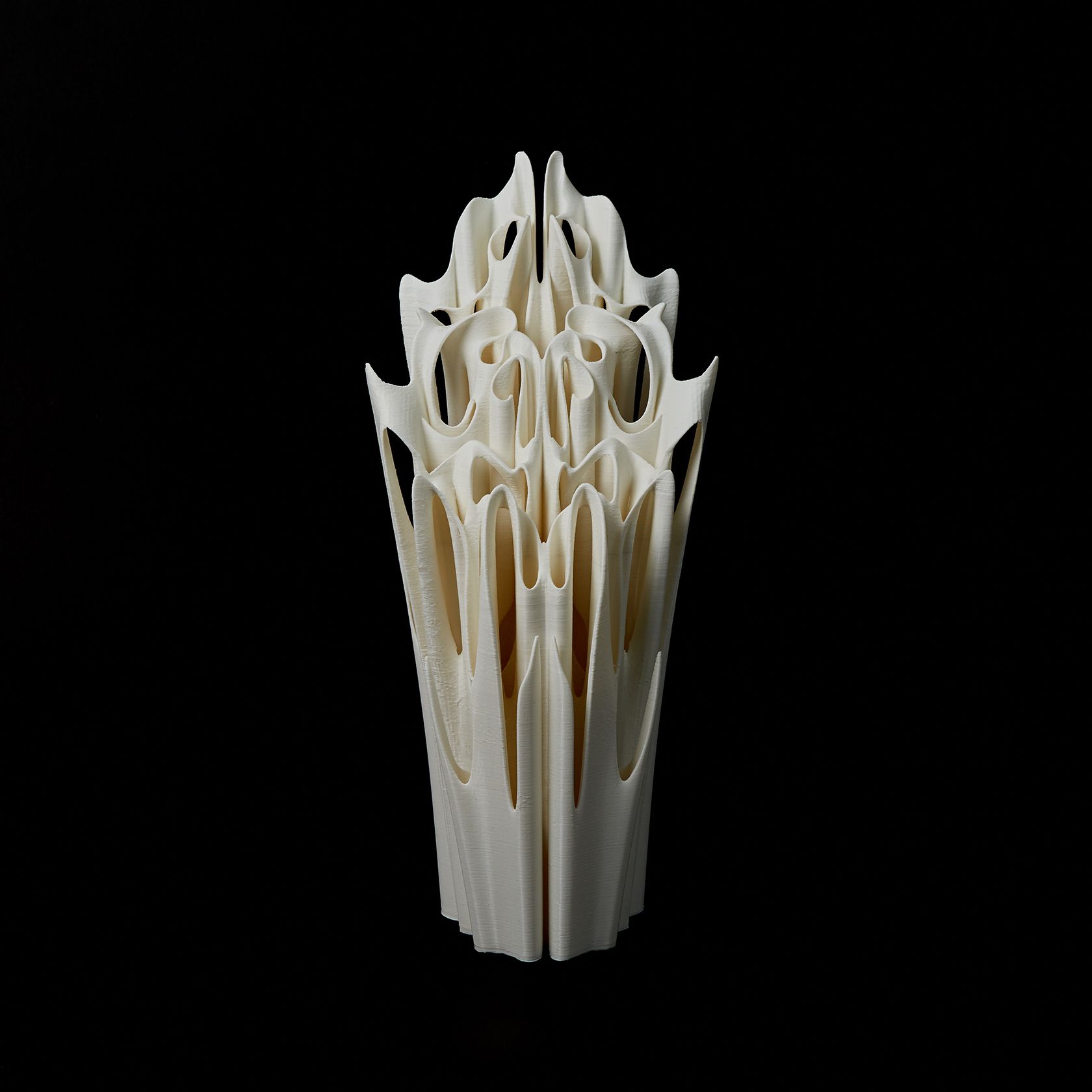Юлия Низамутдинова (Cyberflora) (Объект - 
                  20 x 45 см) Ossis denti