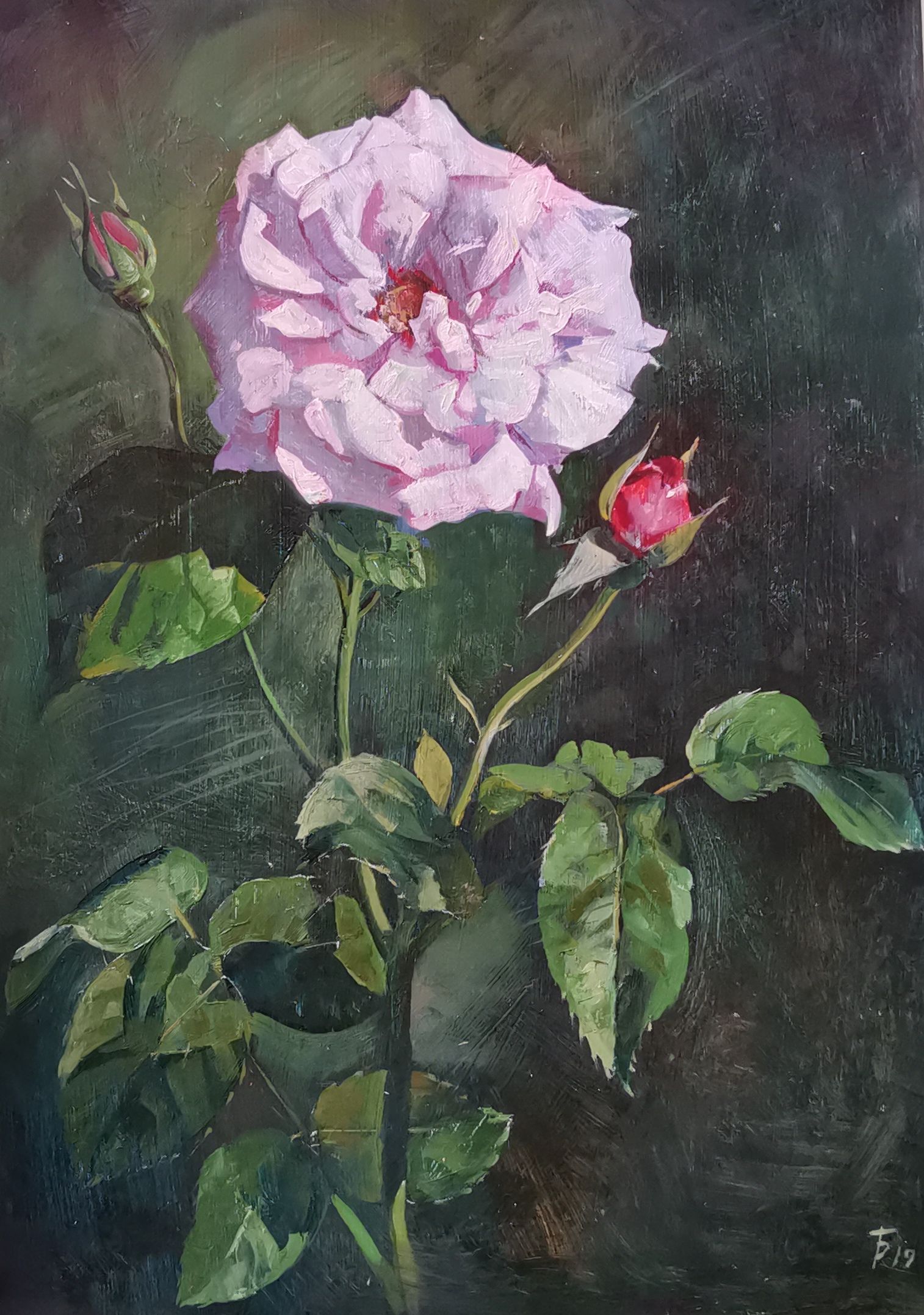 Регина Буглеева (Авторская графика - 
                  20 x 30 см) Роза