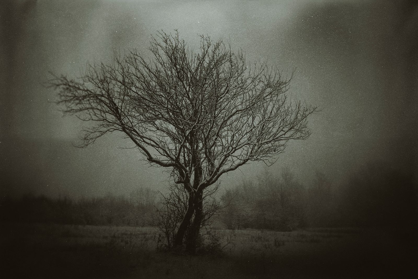 Зара Нехай (Фотография - 
                  80 x 60 см) Зима