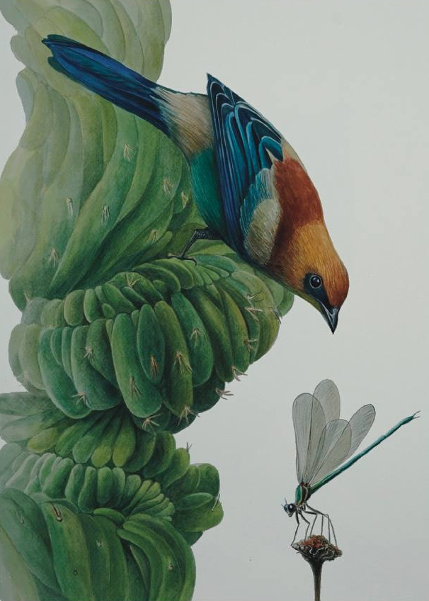 Екатерина Маркина (Авторская графика - 
                  35 x 50 см) Кактус, птичка, стрекоза