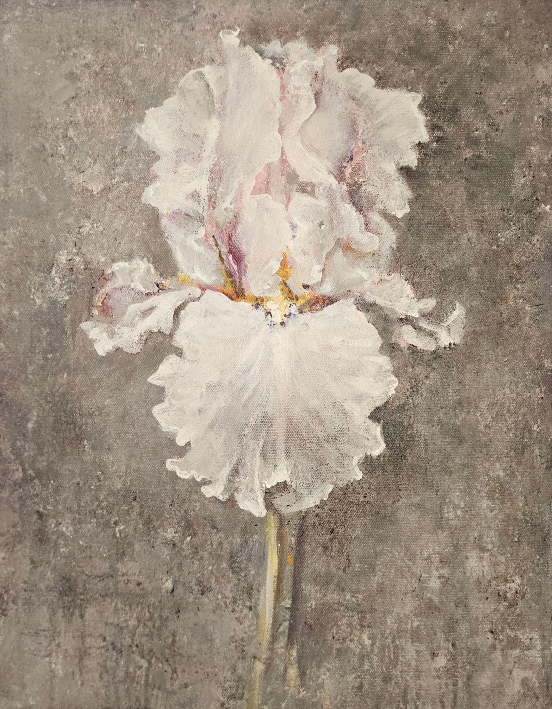Людмила Пономарева (Картина, живопись - 
                  47 x 60 см) Кудрявый Ирис