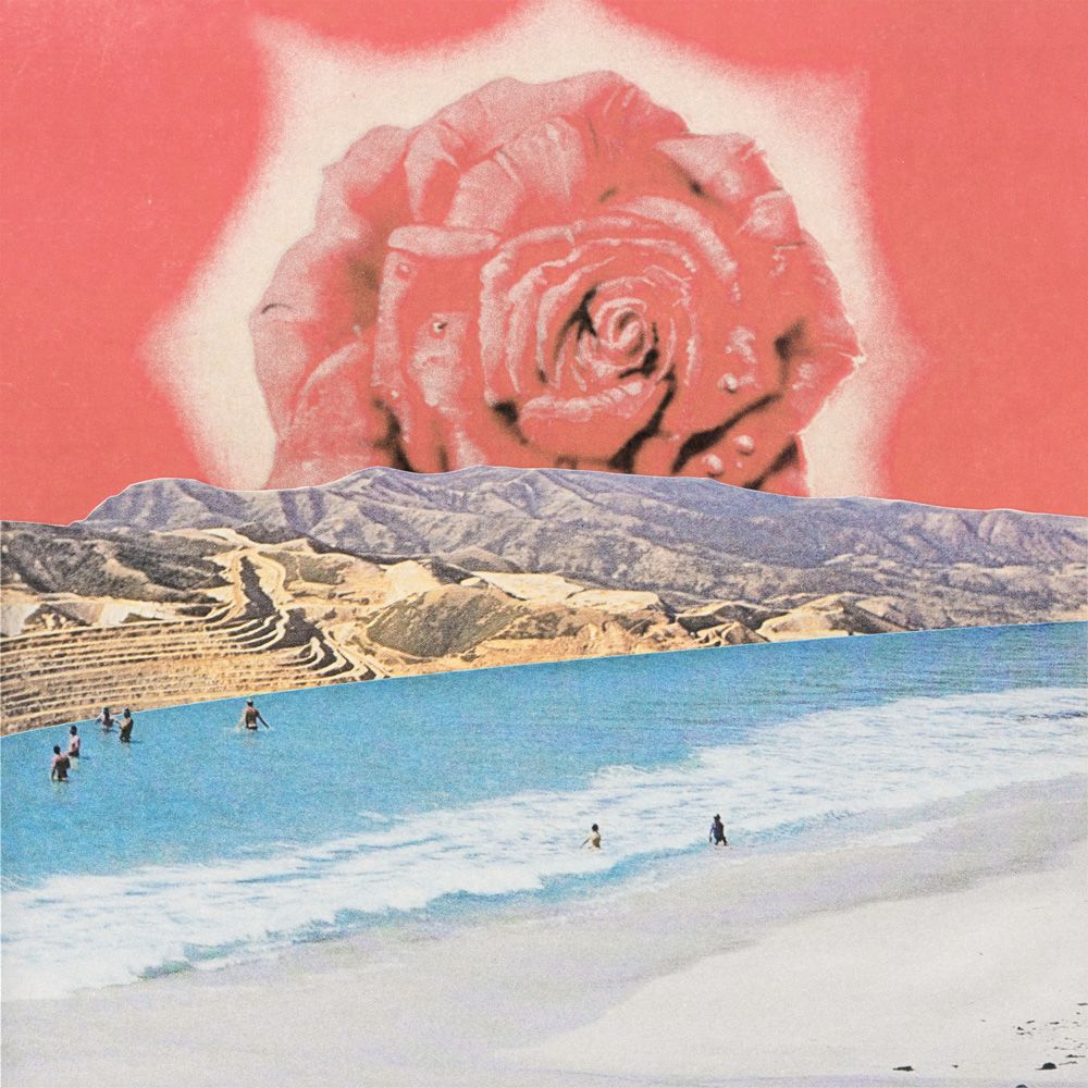 Филипп Игумнов (Картина, живопись - 
                  50 x 50 см) Rose sunset
