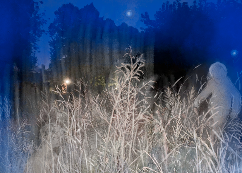 Лена Марру (Графика печатная - 
                  70 x 50 см) Без названия 2