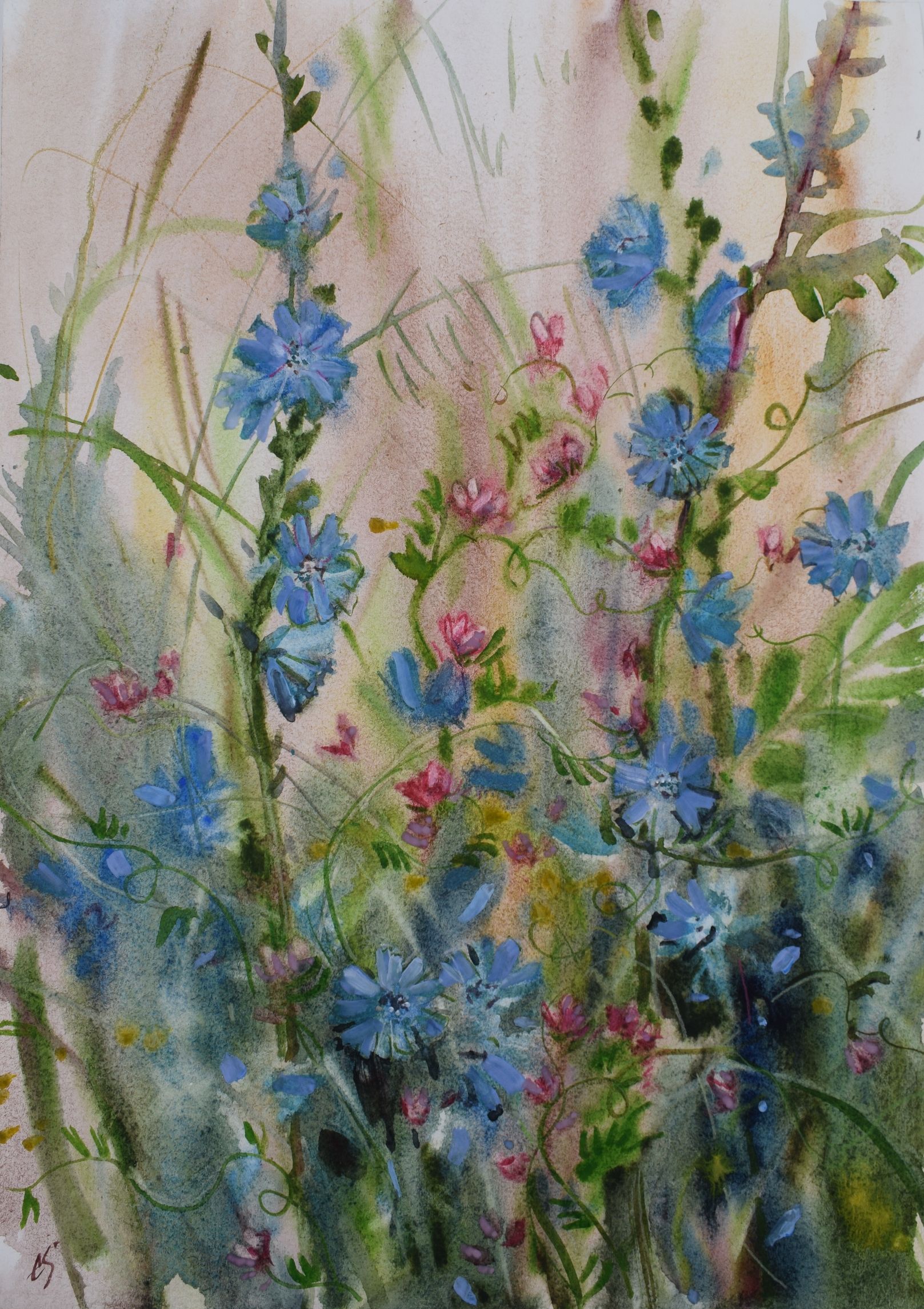 Елена Санина (Авторская графика - 
                  30 x 42 см) Июльские луга