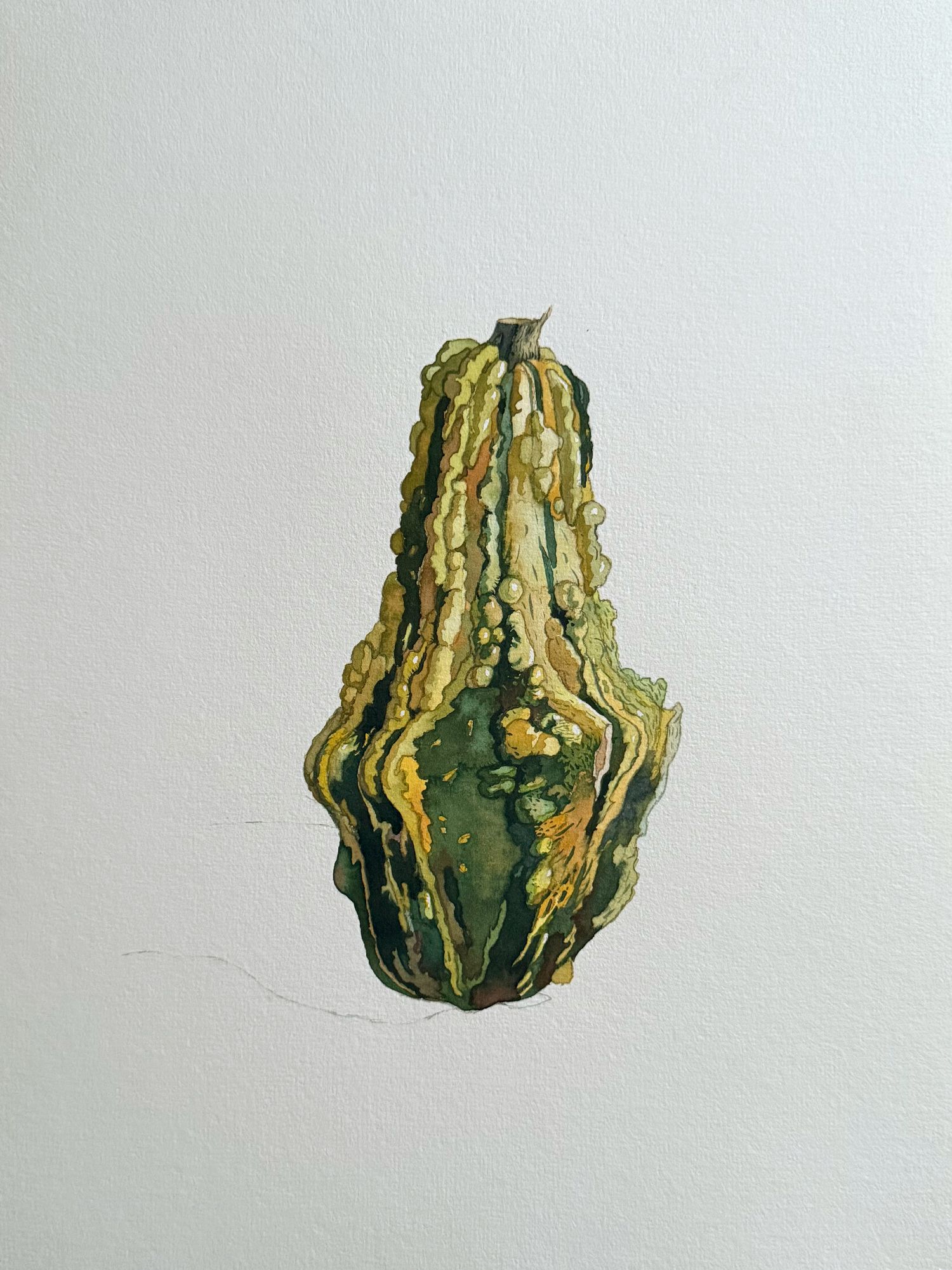 Петр Захаров (Авторская графика - 
                  24 x 32 см) Зеленая тыква