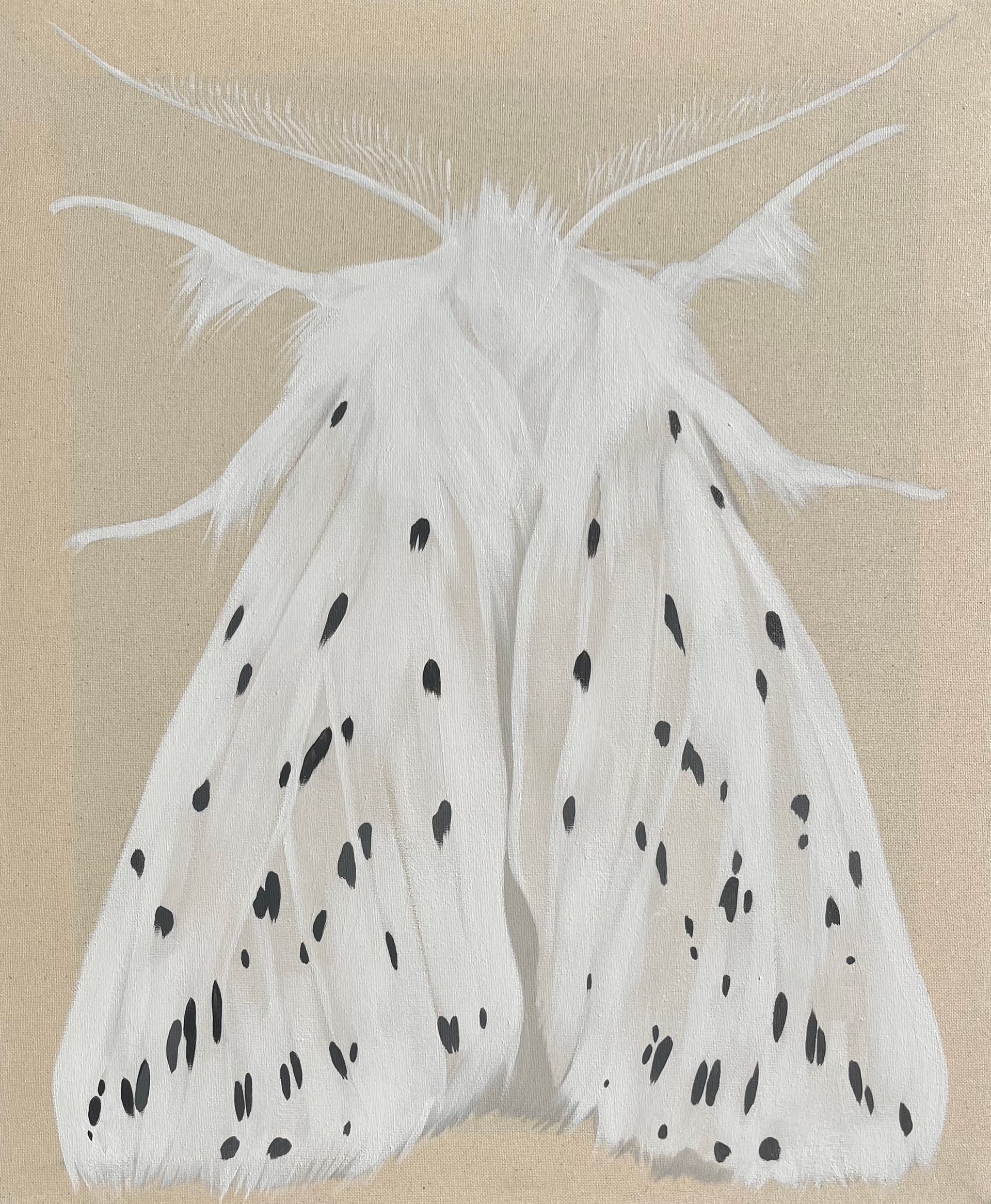 Маша Лам (Картина, живопись - 
                  54 x 65 см) Белый мотылек