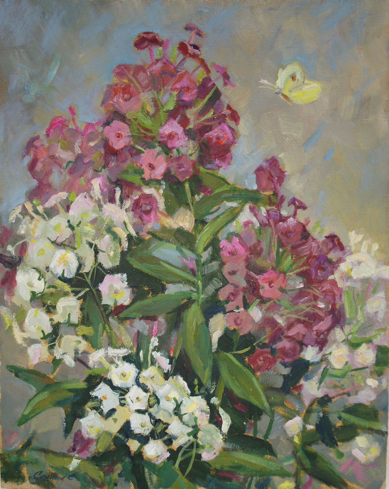 Елена Санина (Картина, живопись - 
                  33 x 42 см) Флоксы