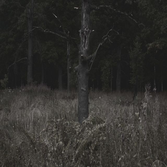 Станислав Марков (Фотография - 
                  90 x 90 см) Untitled VI