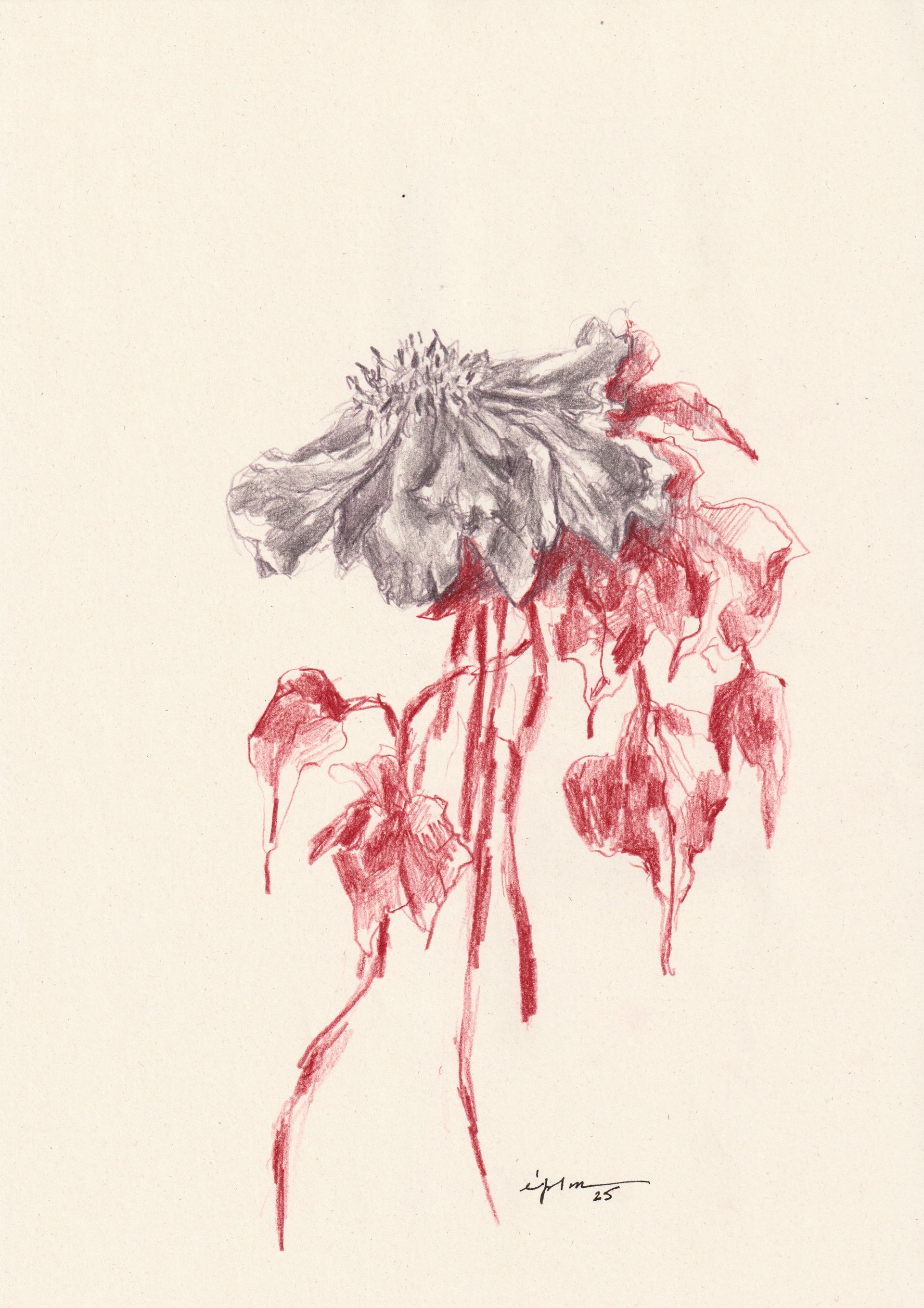 Виктория Зарецкая (embrassé par la muse) (Авторская графика - 
                  21 x 29.7 см) Fleur 04