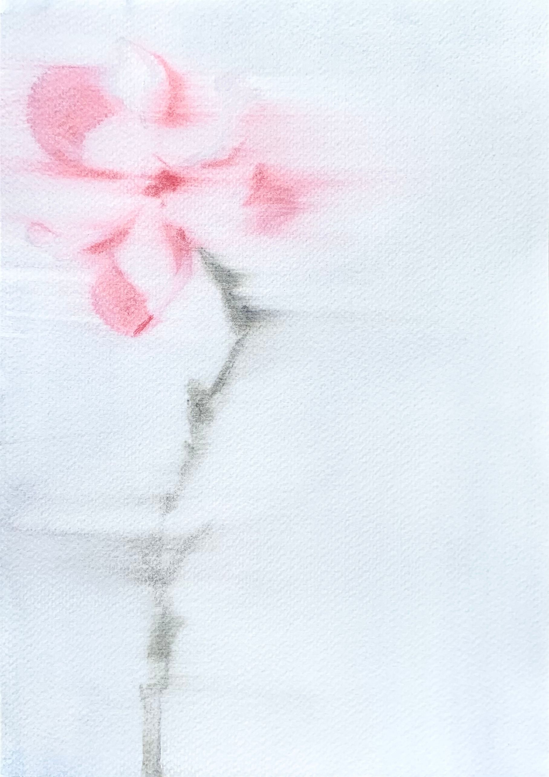 Ульяна Соловей (Авторская графика - 
                  30 x 40 см) Лист / магнолия