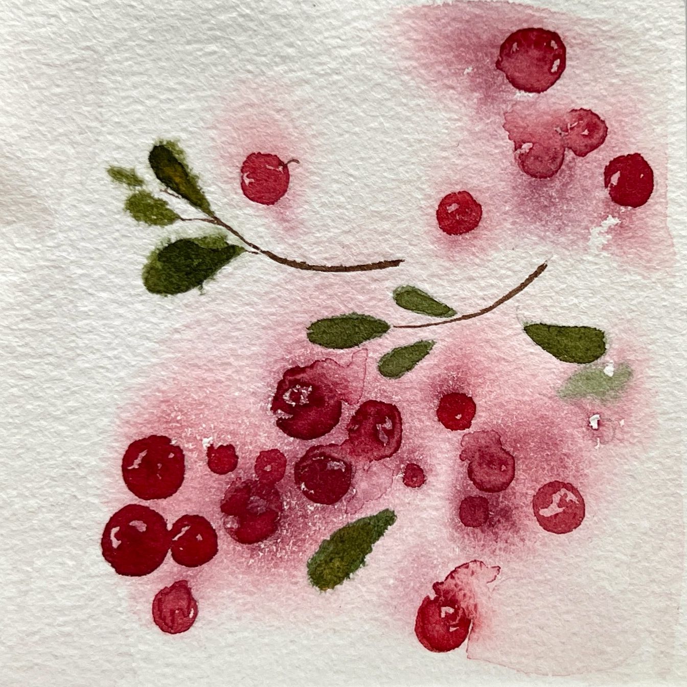 Valentine Solonski (Авторская графика - 
                  10 x 10 см) Брусника 2