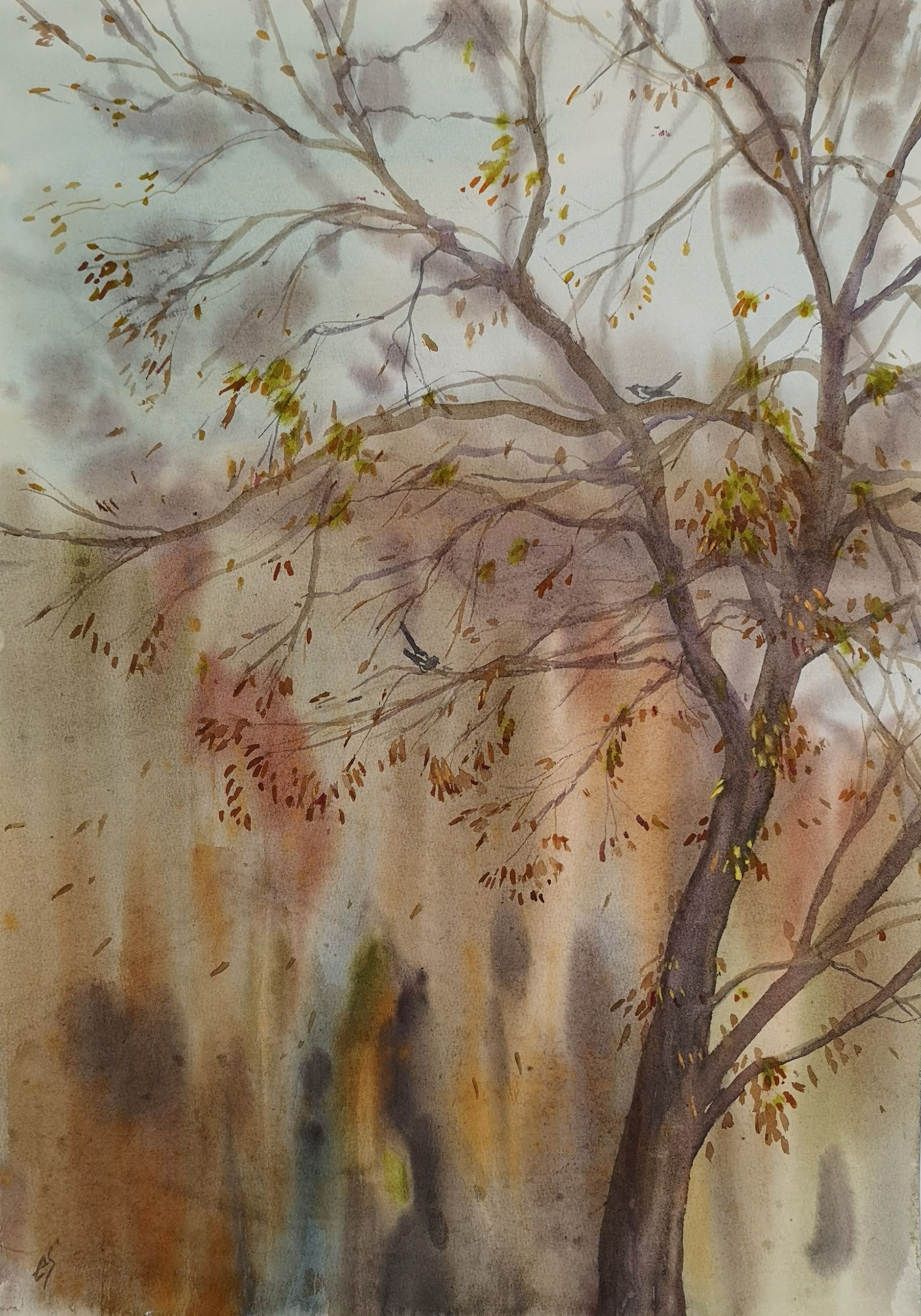 Елена Санина (Авторская графика - 
                  42 x 59 см) Октябрь .Туман