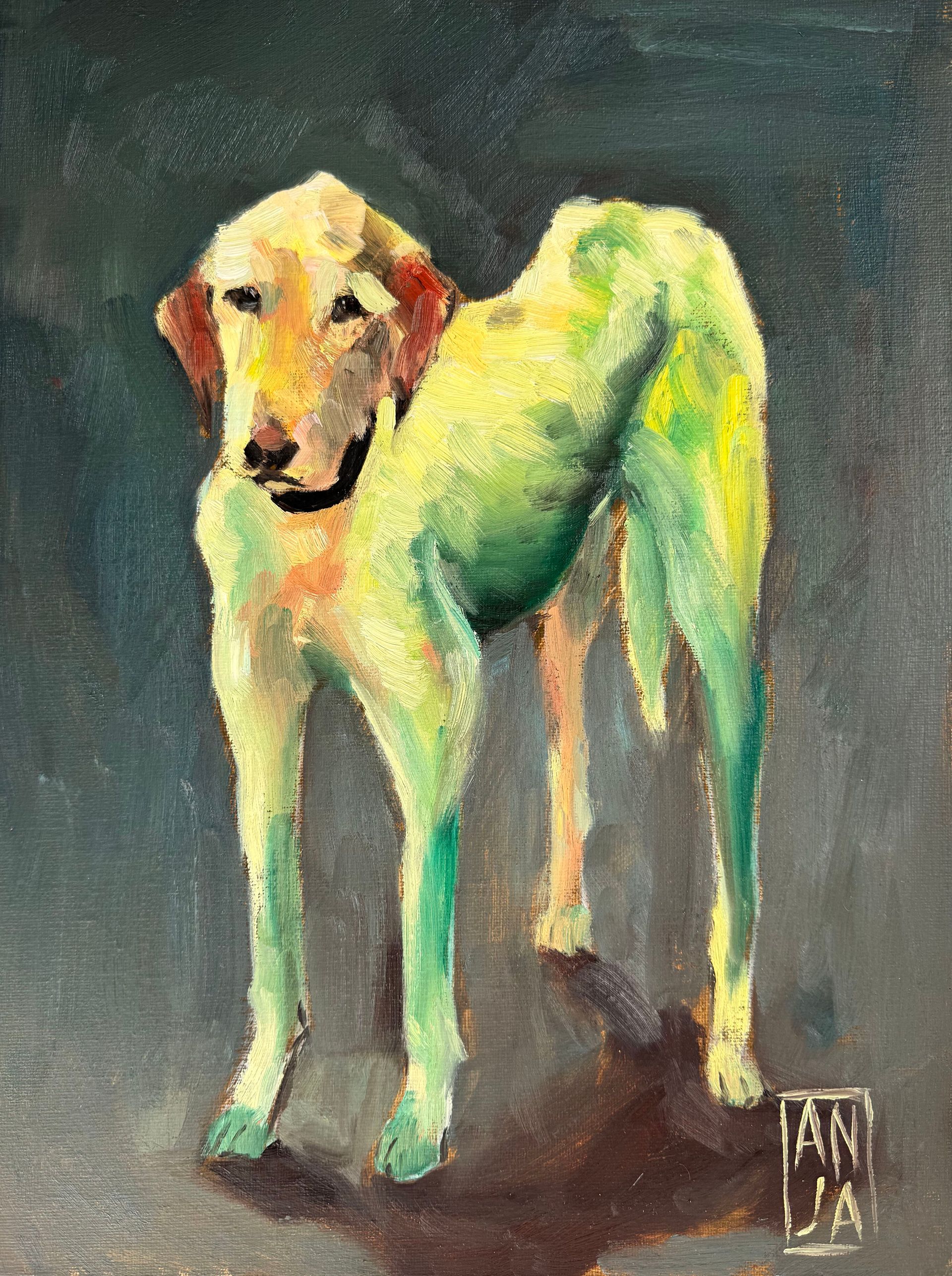 Анна Рудько (Авторская графика - 
                  30 x 40 см) №14