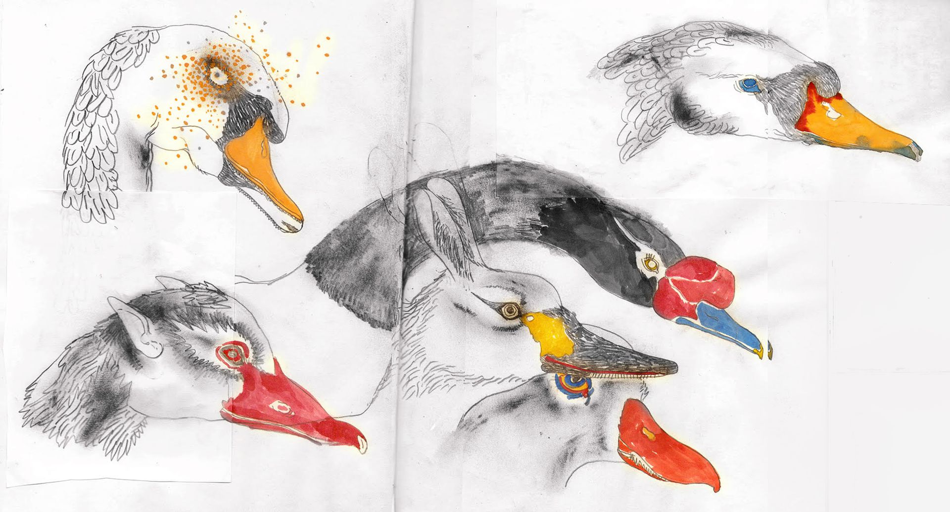 Василиса Палянина (Авторская графика - 
                  55 x 38 см) Birds of a feather flock together