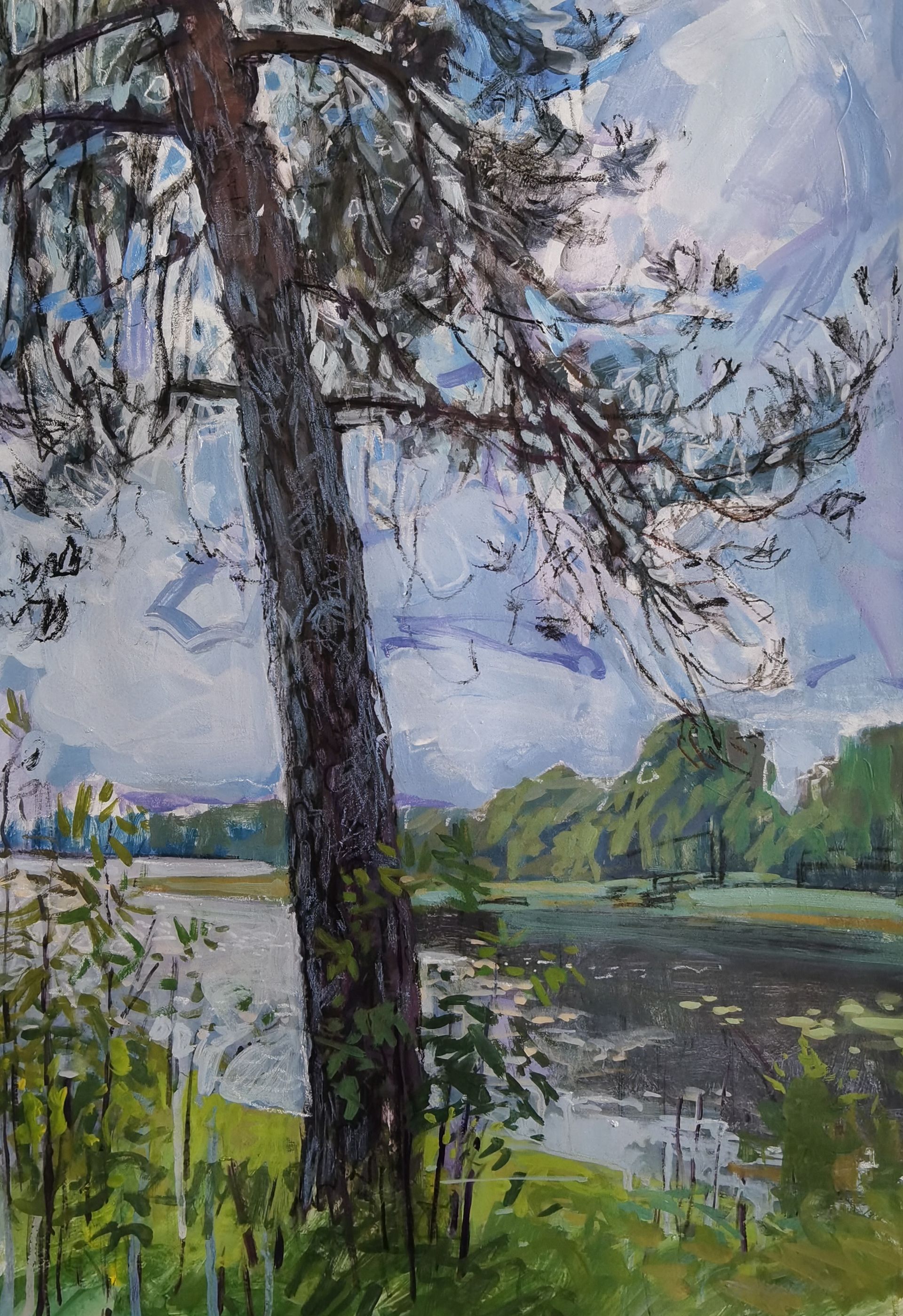 Ольга Семченко (Авторская графика - 
                  40 x 57 см) Ель у озера Мстино