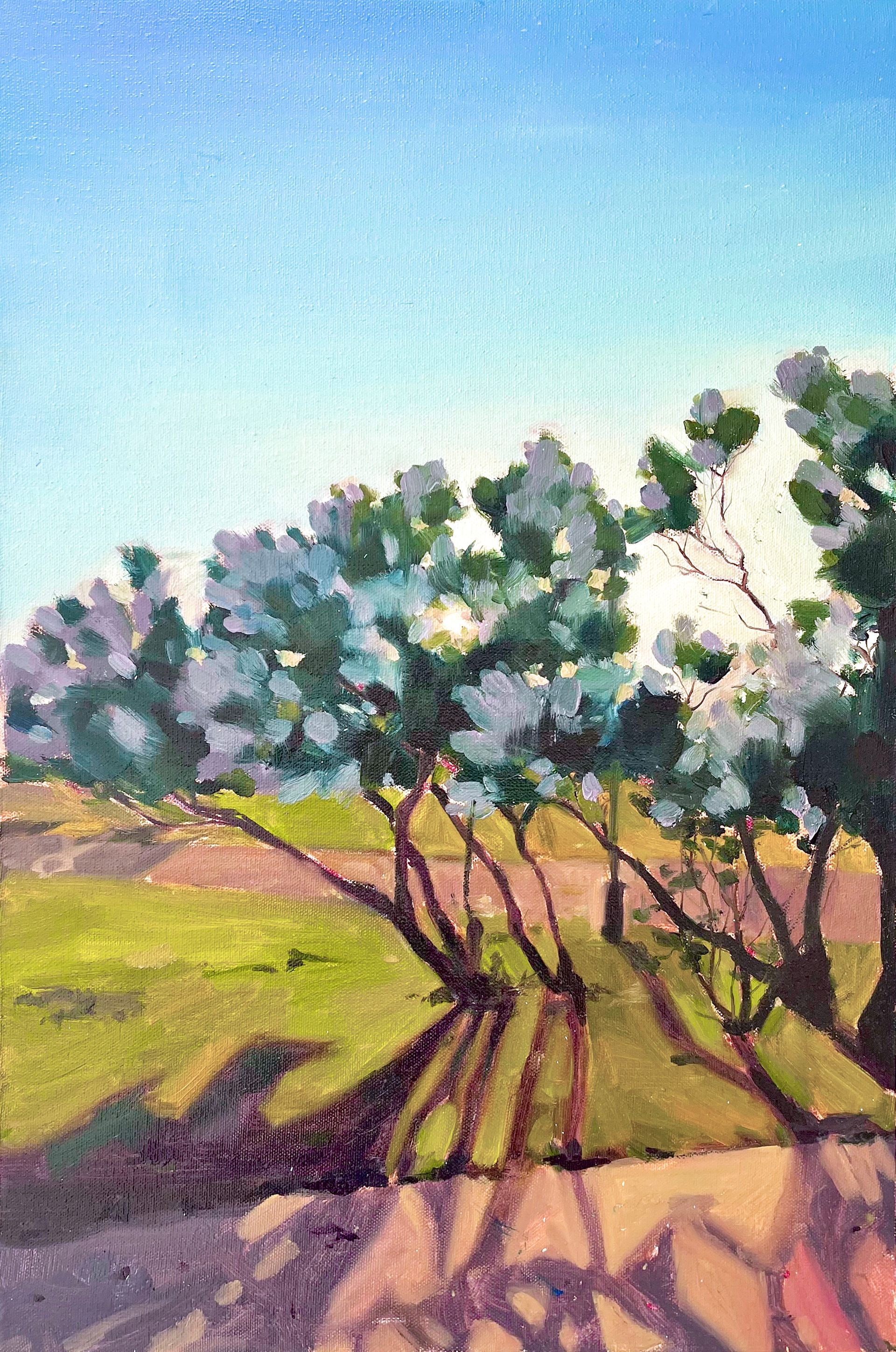 Эвелина Чернуцкая (Картина, живопись - 
                  40 x 60 см) Марсово Поле