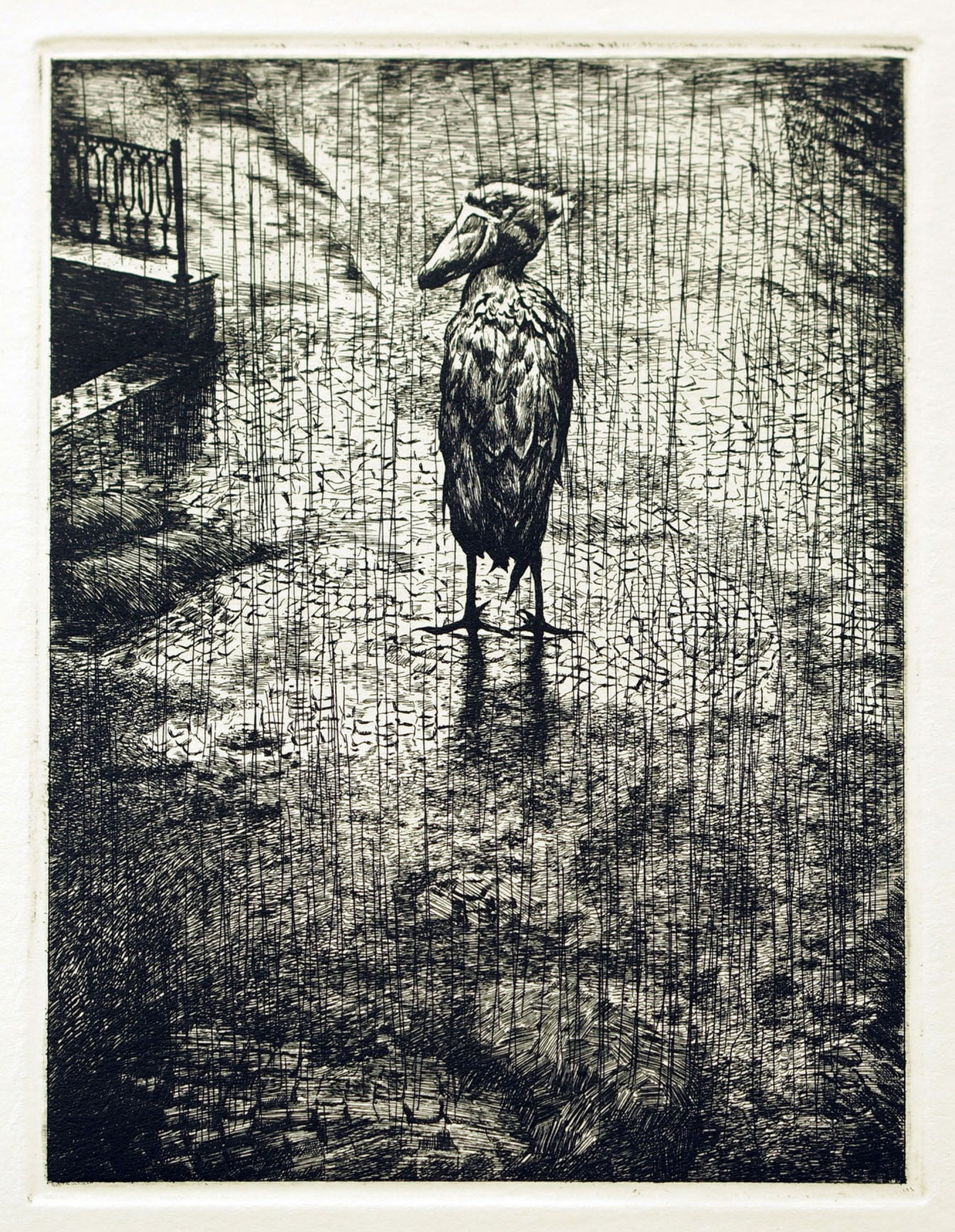 Александр Коряшкин (Графика печатная - 
                  11 x 14 см) Одиночество китоглава