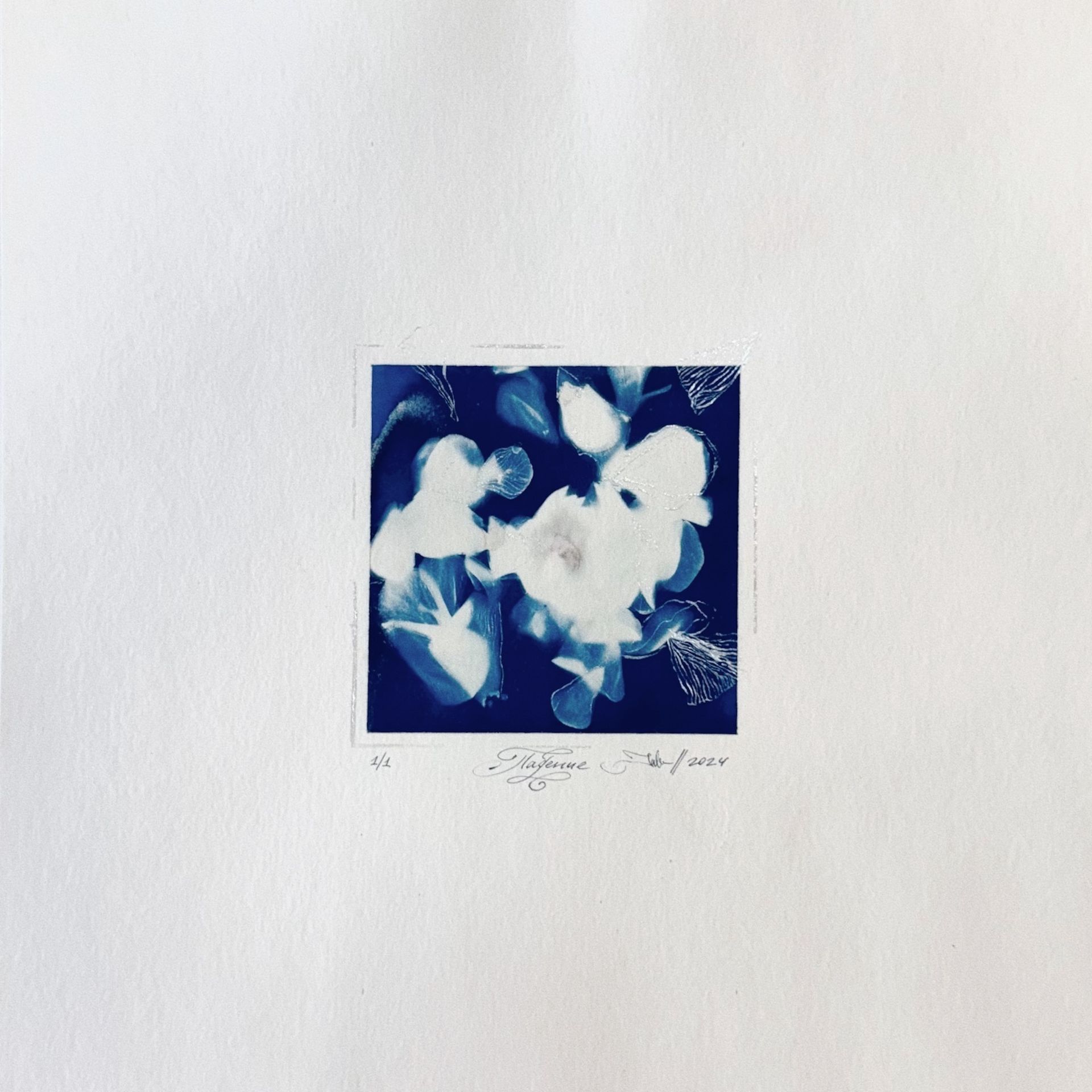 Юлия Милякова (Графика печатная - 
                  30 x 30 см) Падение. Серия "Цветы"