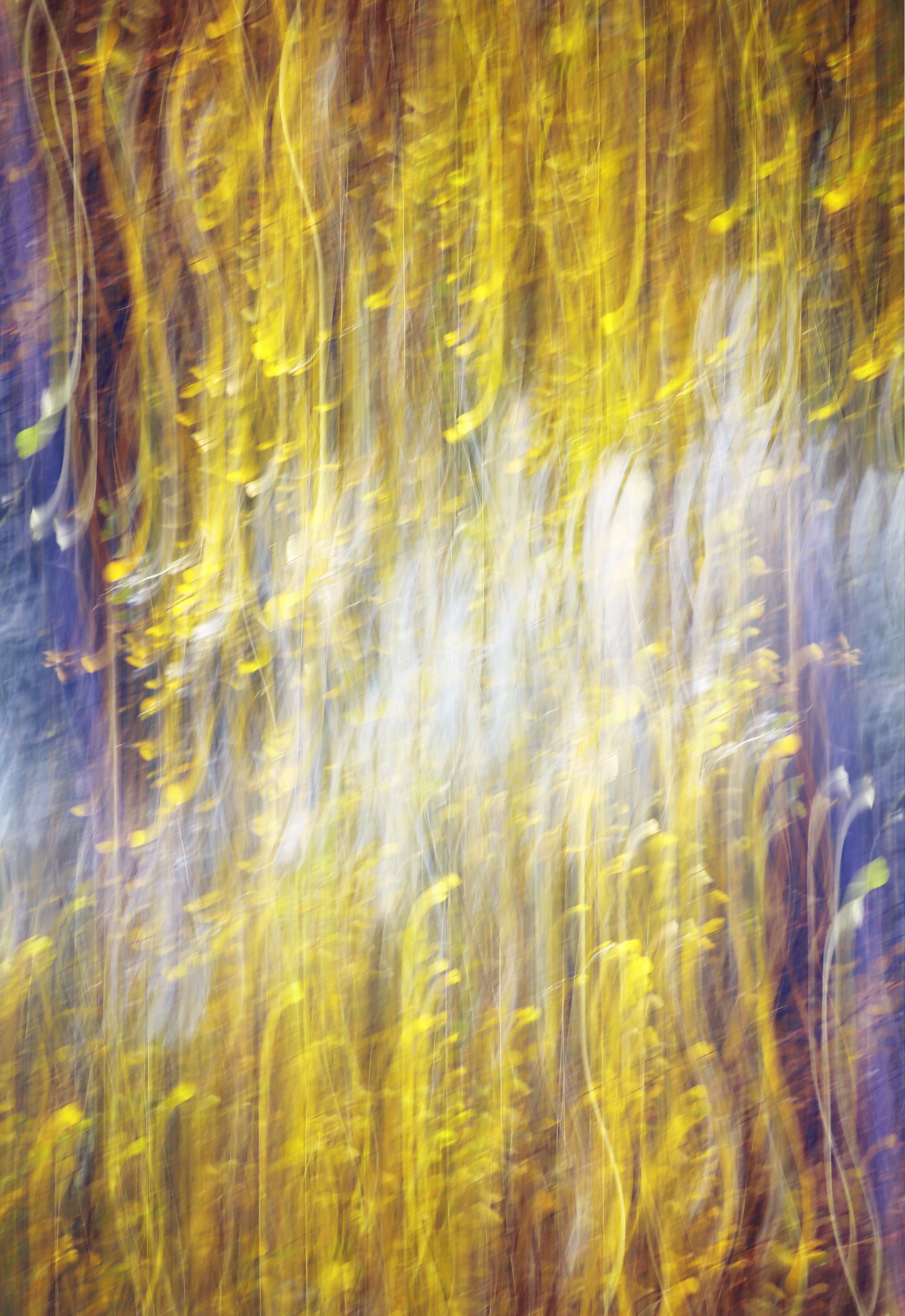 Татьяна Сенчило (Фотография - 
                  70 x 100 см) Из серии "Исчезнуть, замолчать, услышать"