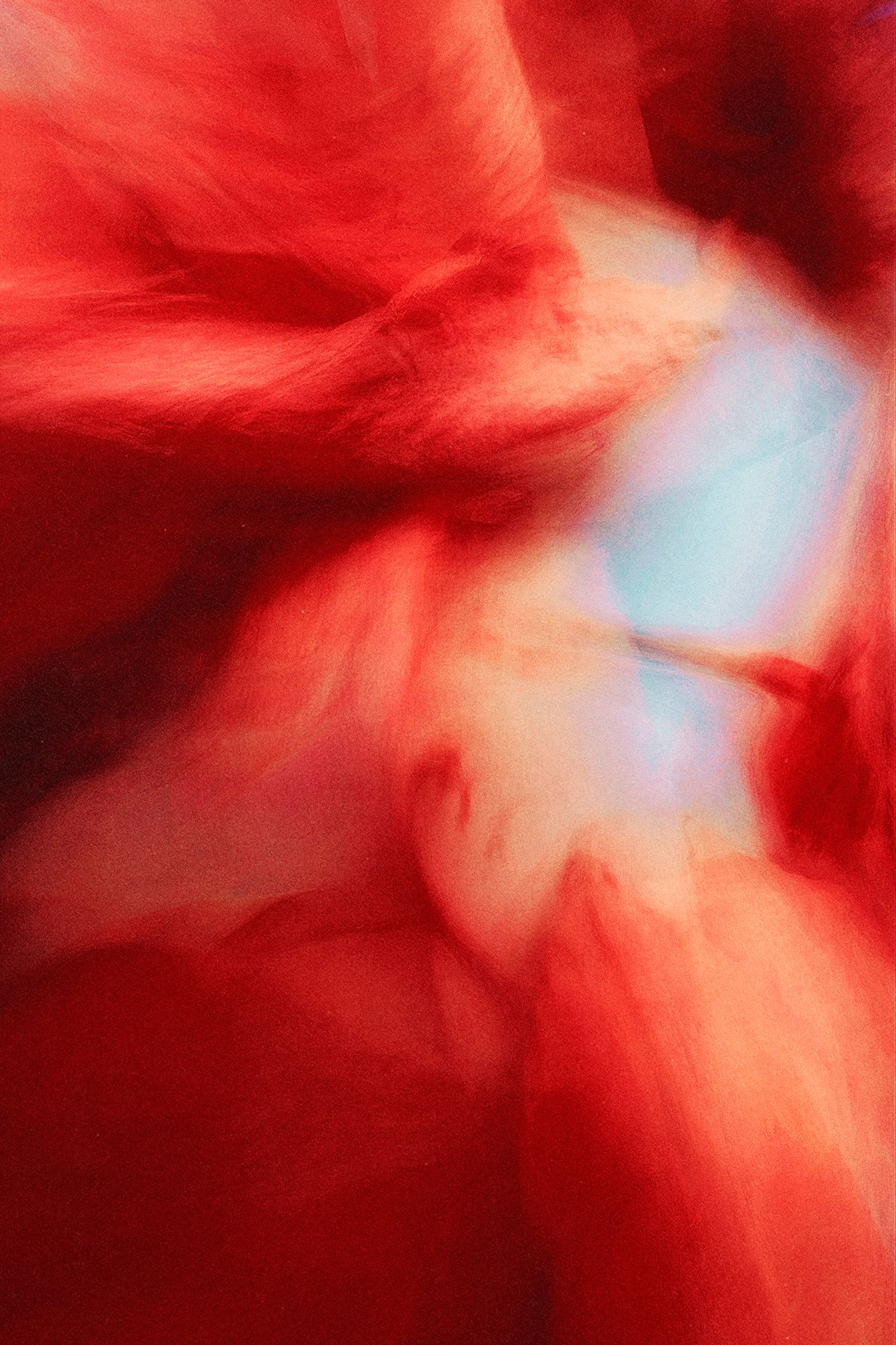 Ольга Ширяева (Фотография - 
                  40 x 60 см) Альстромерия №1