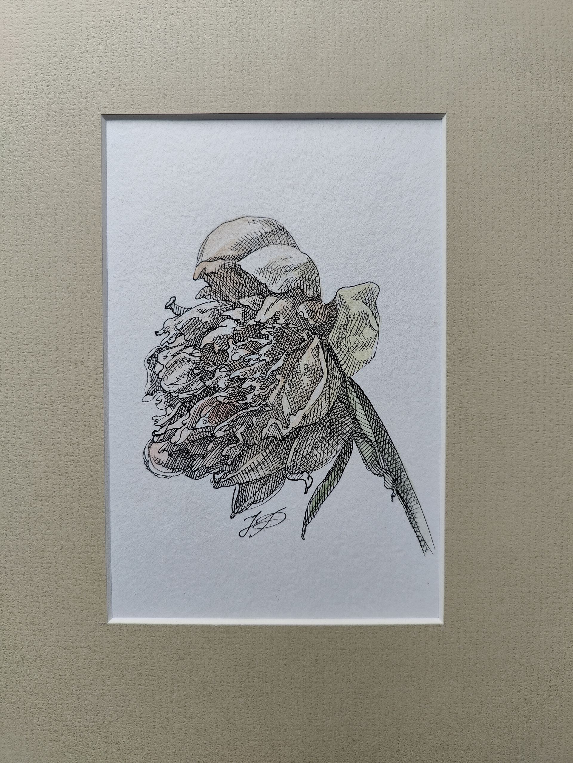 Наталия Рокотова (Авторская графика - 
                  20 x 24.5 см) Пион