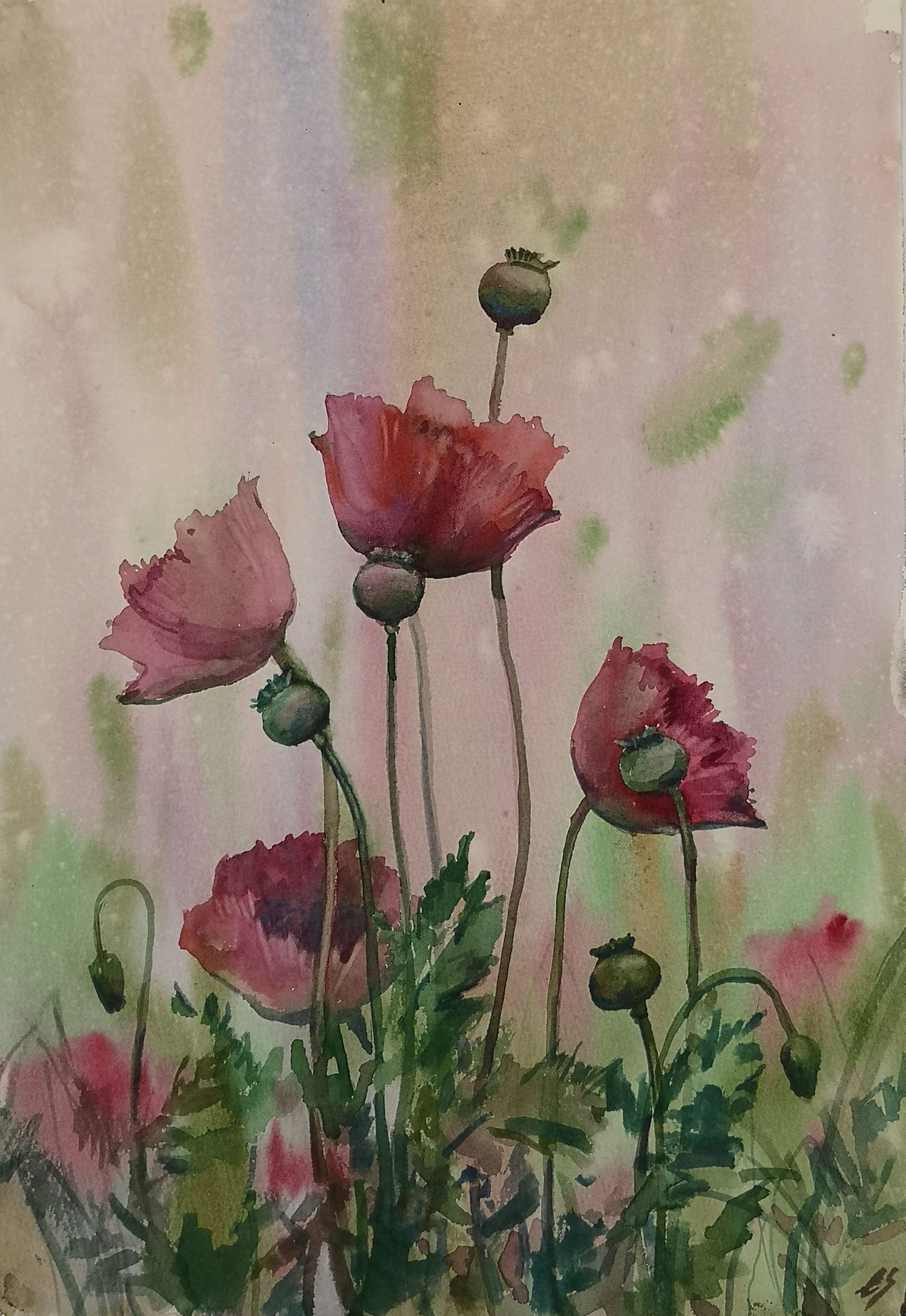 Елена Санина (Авторская графика - 
                  27 x 38 см) Нежный букет