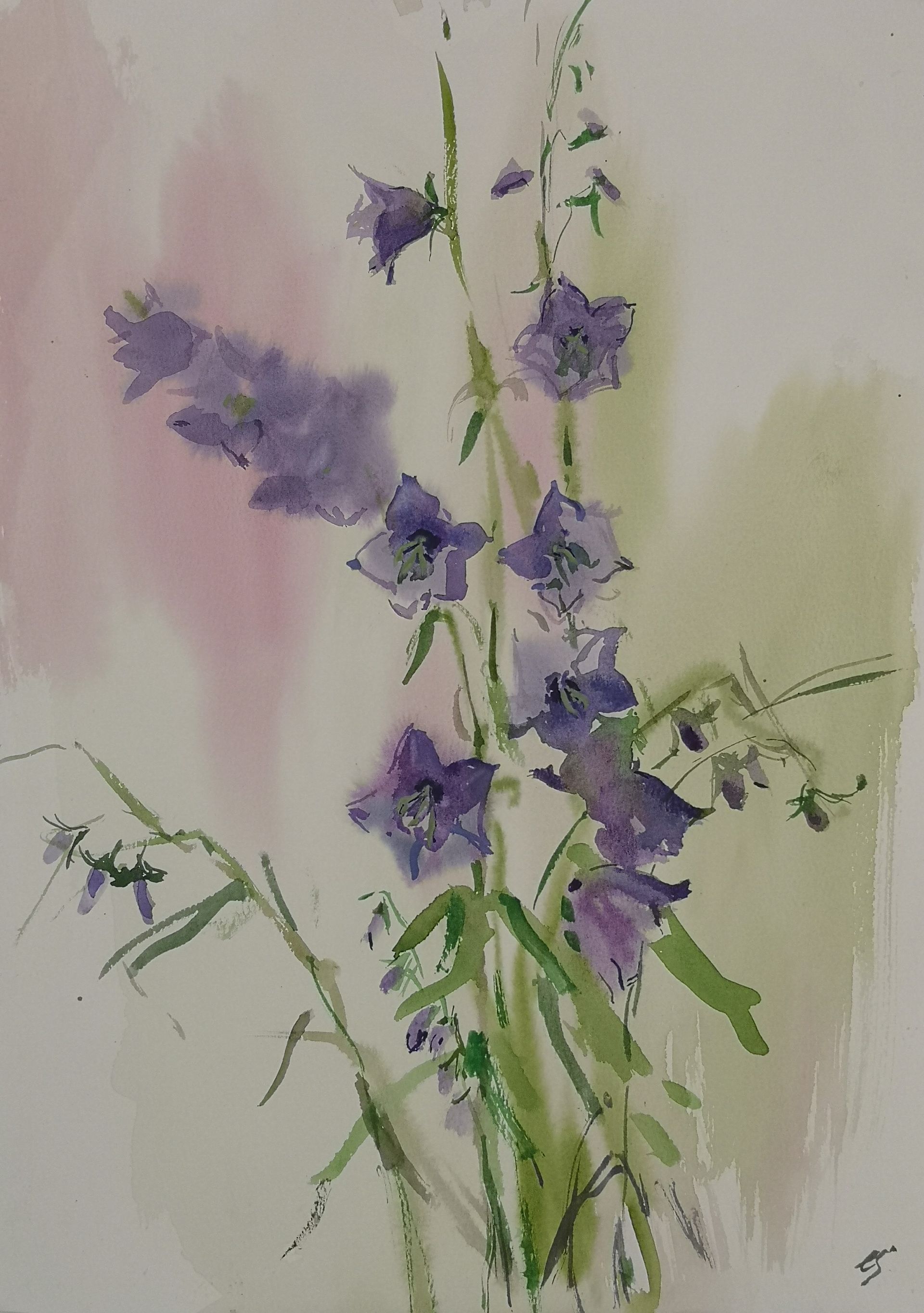 Елена Санина (Авторская графика - 
                  30 x 40 см) Колокольчики. Июнь
