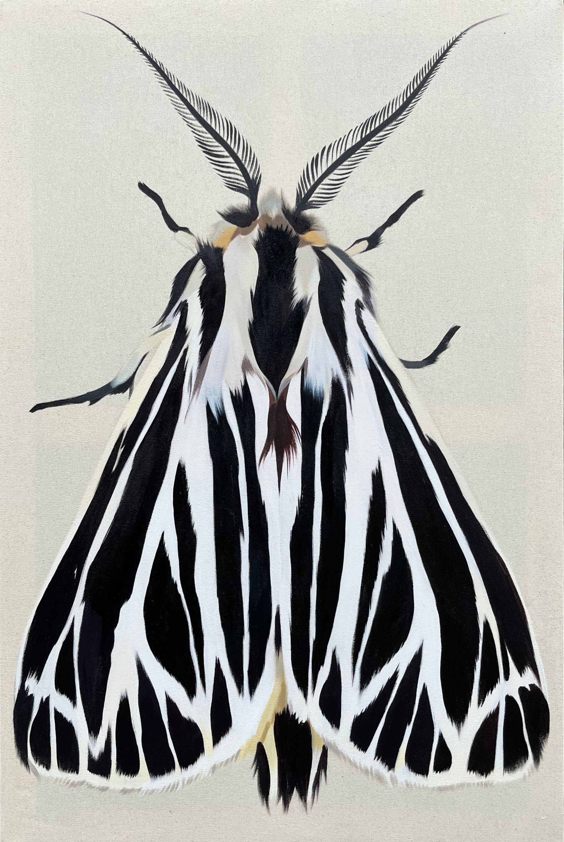 Маша Лам (Картина, живопись - 
                  60 x 90 см) Полосатый мотылек