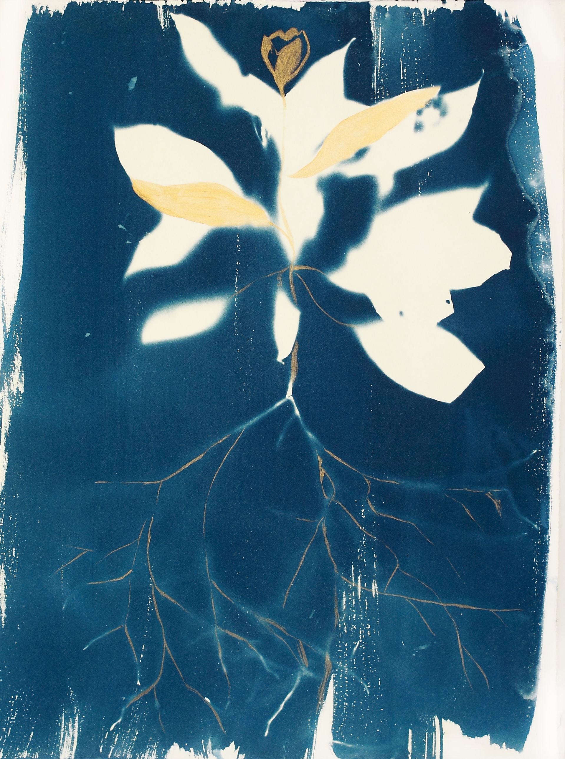 Дарья Парий (Авторская графика - 
                  28 x 38 см) Крокус Palus