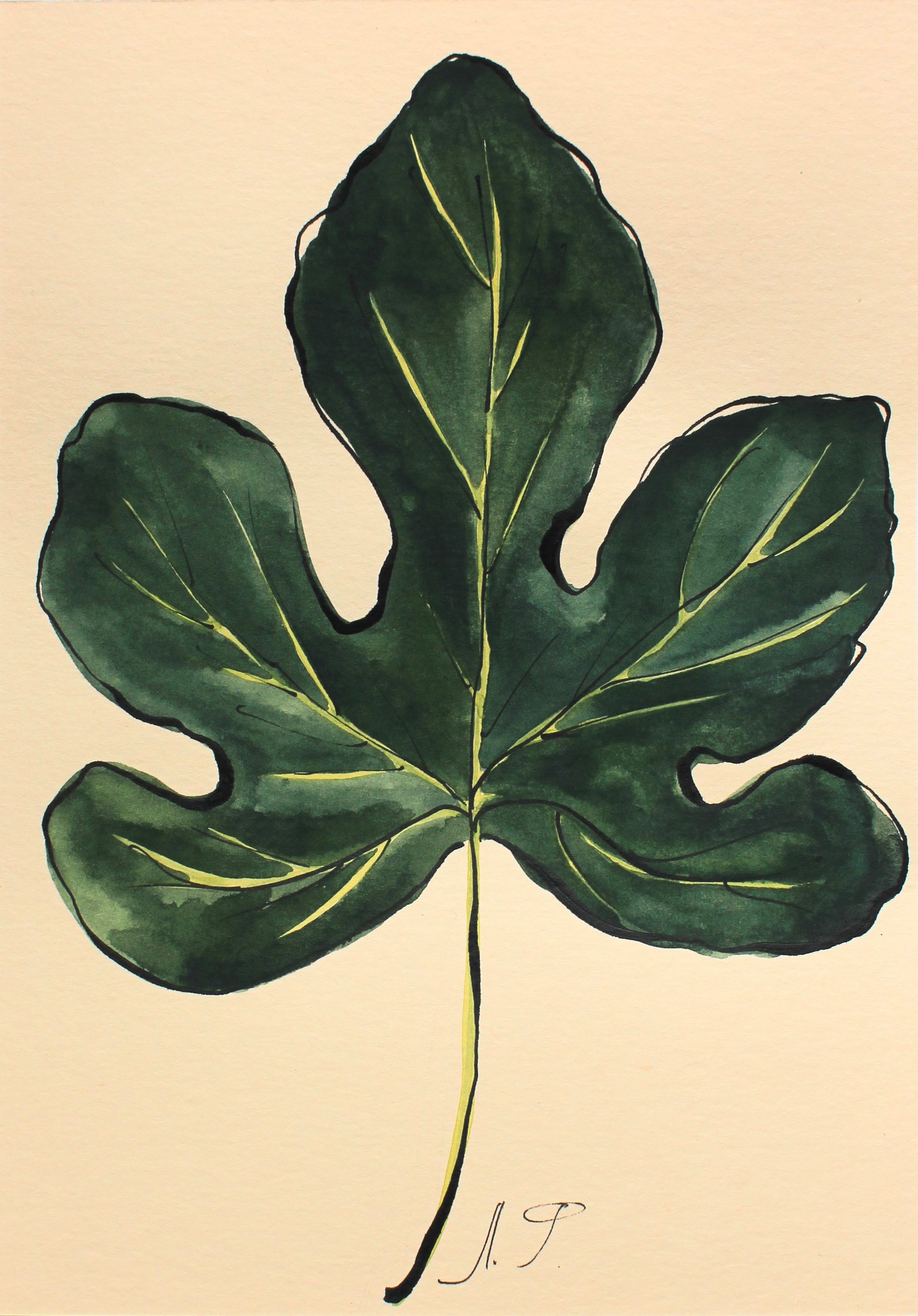 Любовь Фонарева (Авторская графика - 
                  14.8 x 20.9 см) Ficus carica