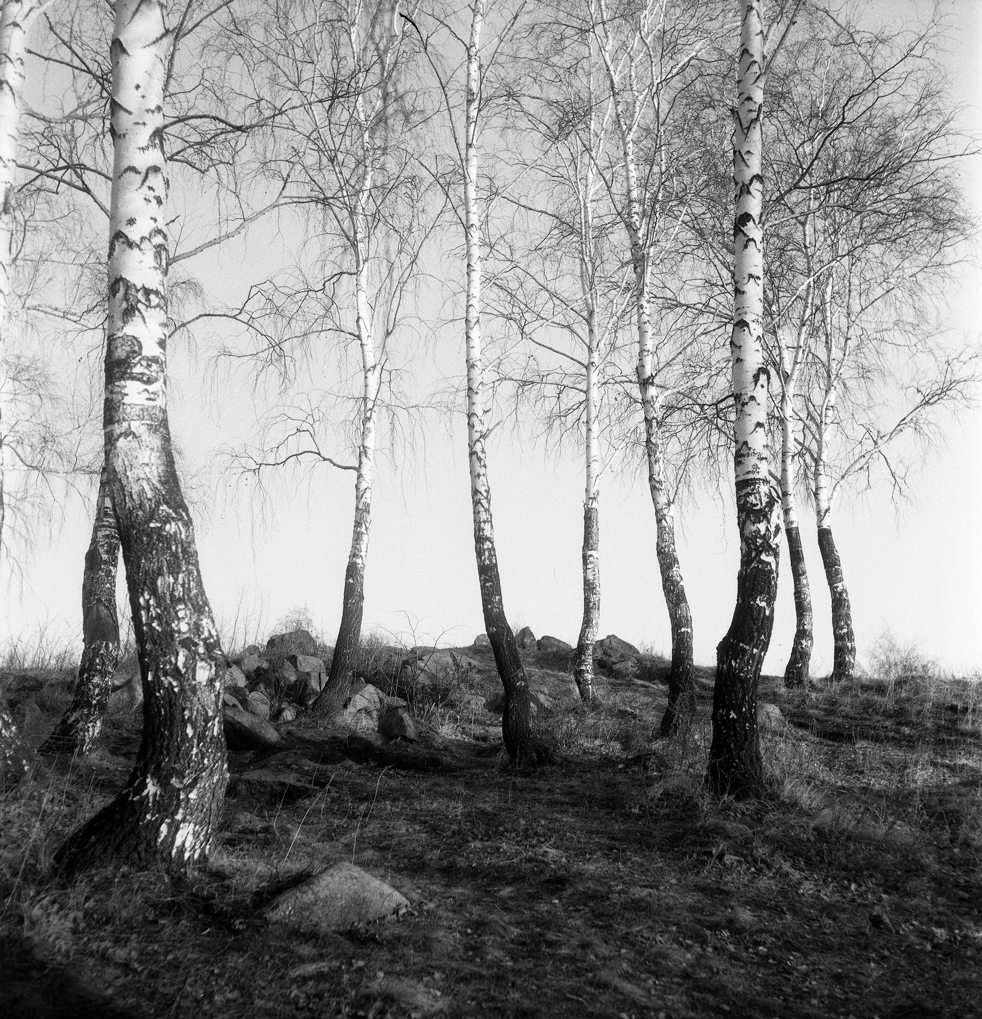 Евгений Стамиков (Фотография - 
                  23 x 23 см) Остров