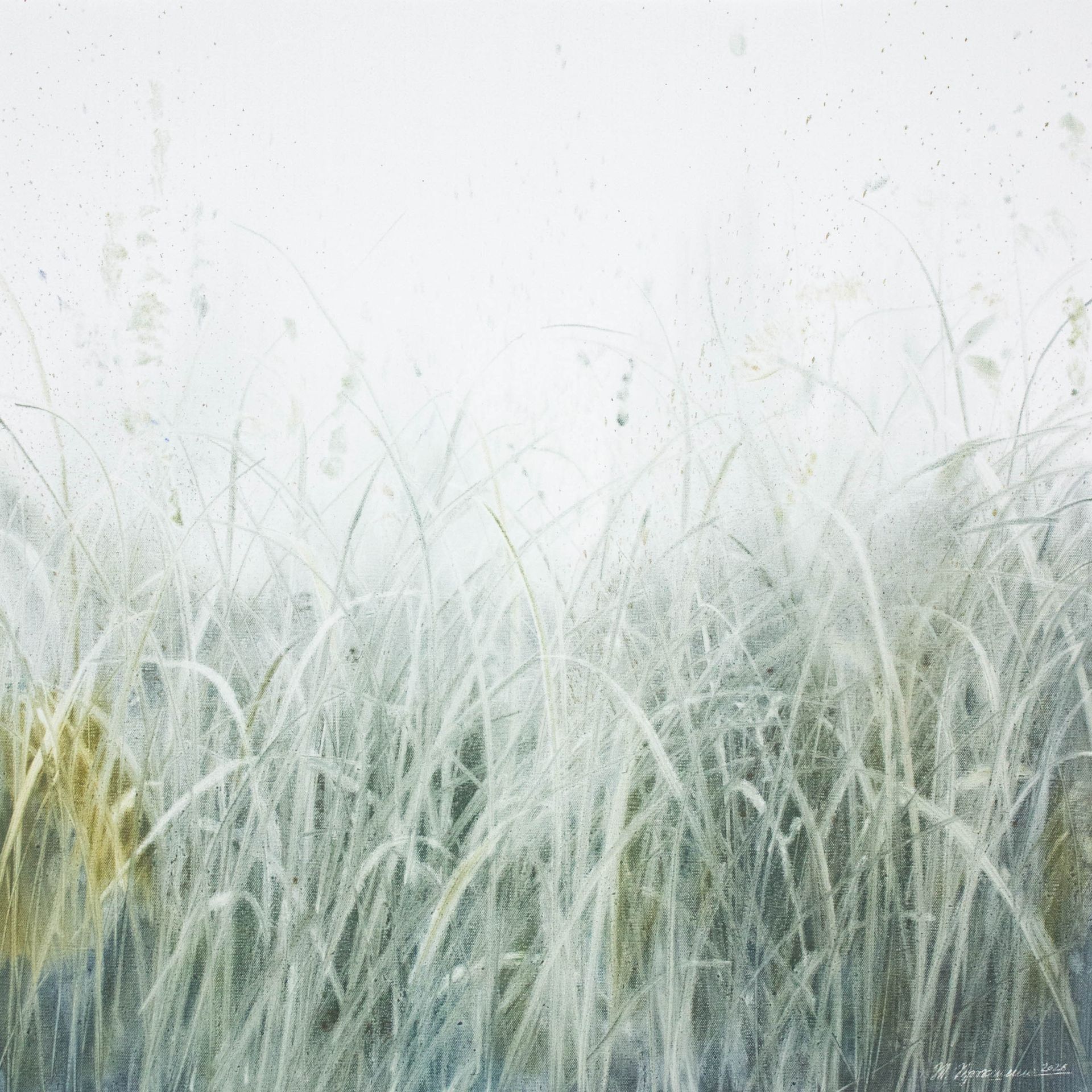 Татьяна Прокшина (Картина, живопись - 
                  80 x 80 см) Травы 260130. Акварель